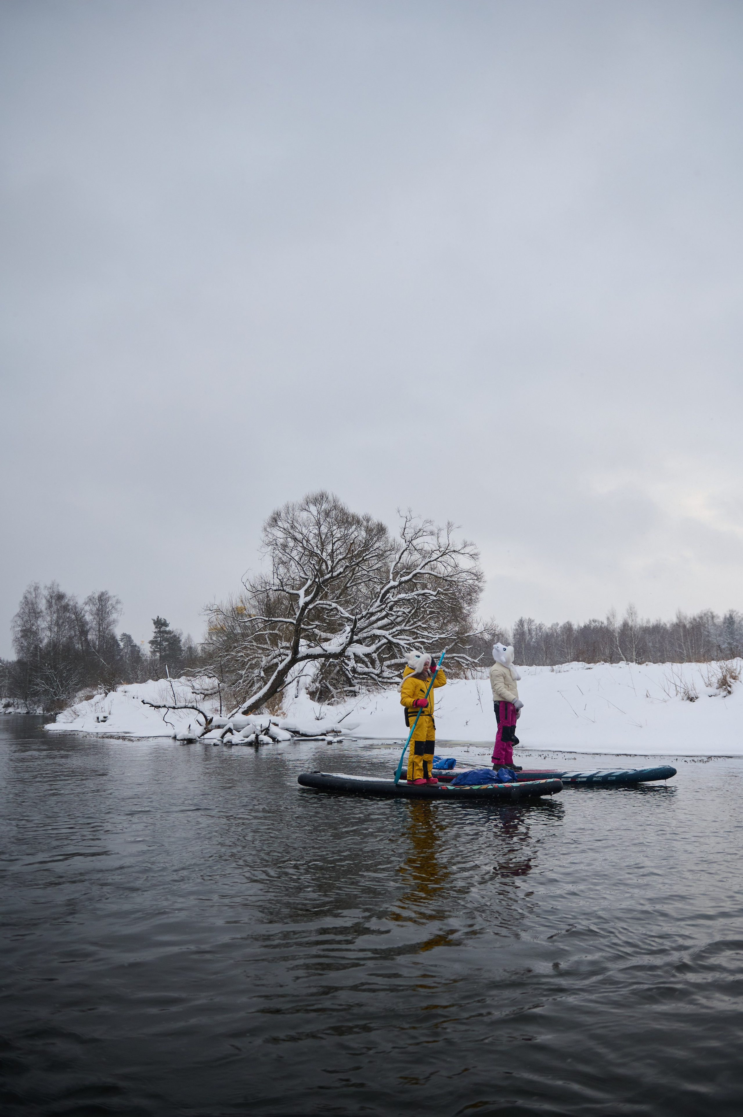Январь р. Истра. Главная