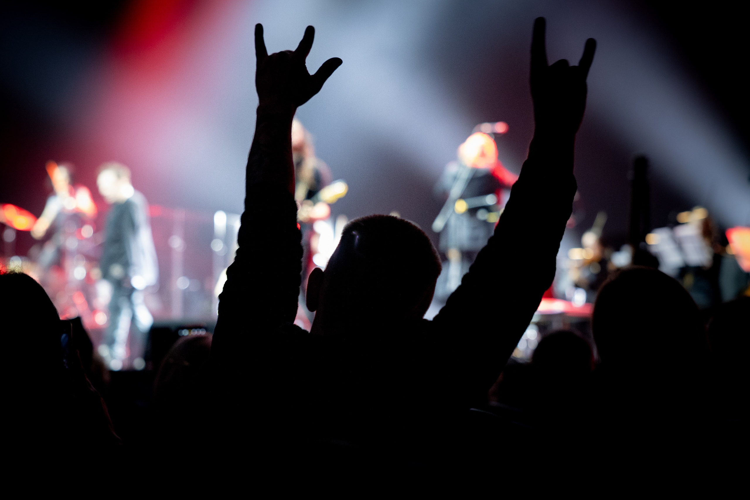 КОНЦЕРТ. Репортажный фотограф Наталья Лапцевич