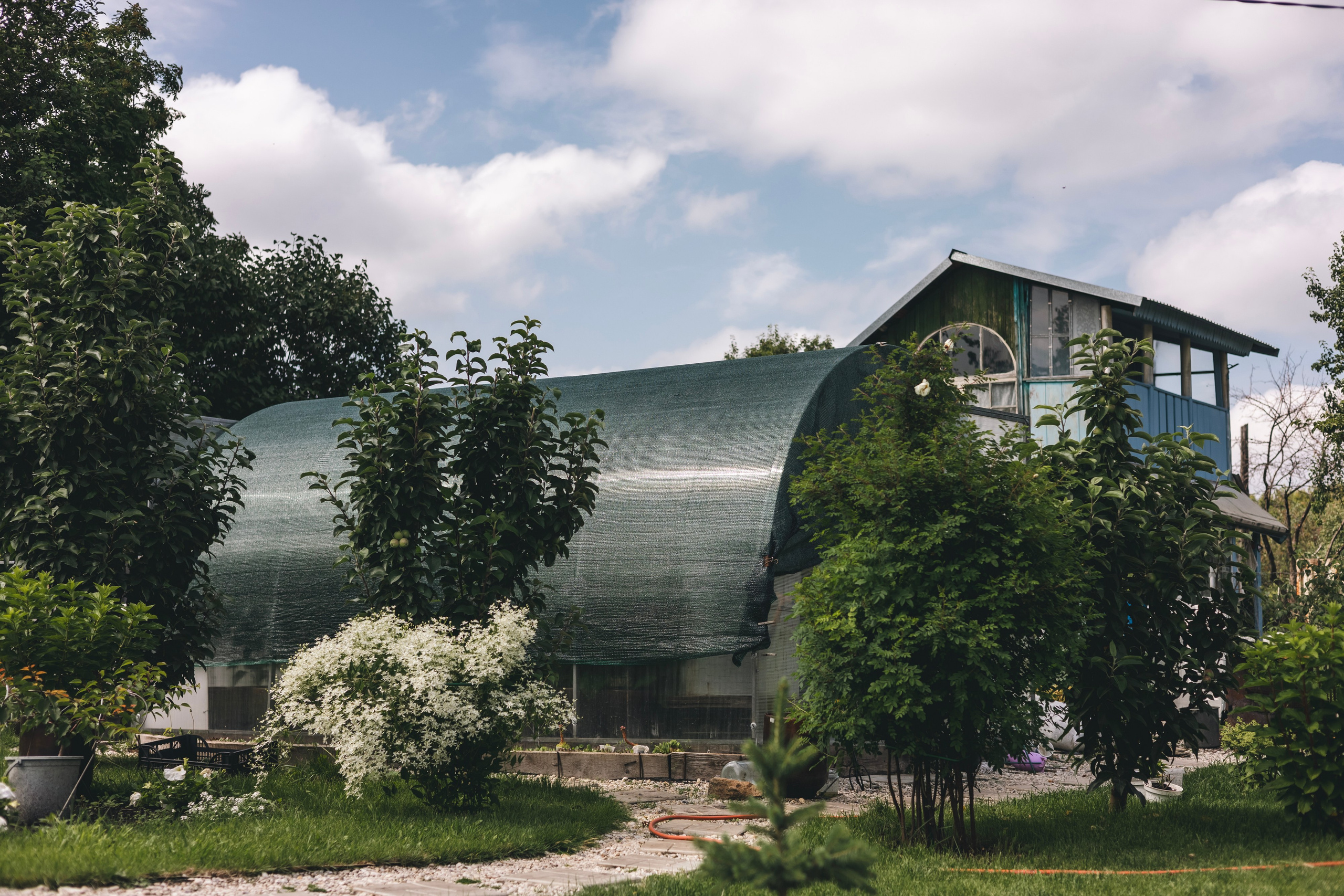 Любовь Георгиевна Пономарева. Садовод и ландшафтный дизайнер. Репортажный фотограф Наталья Лапцевич