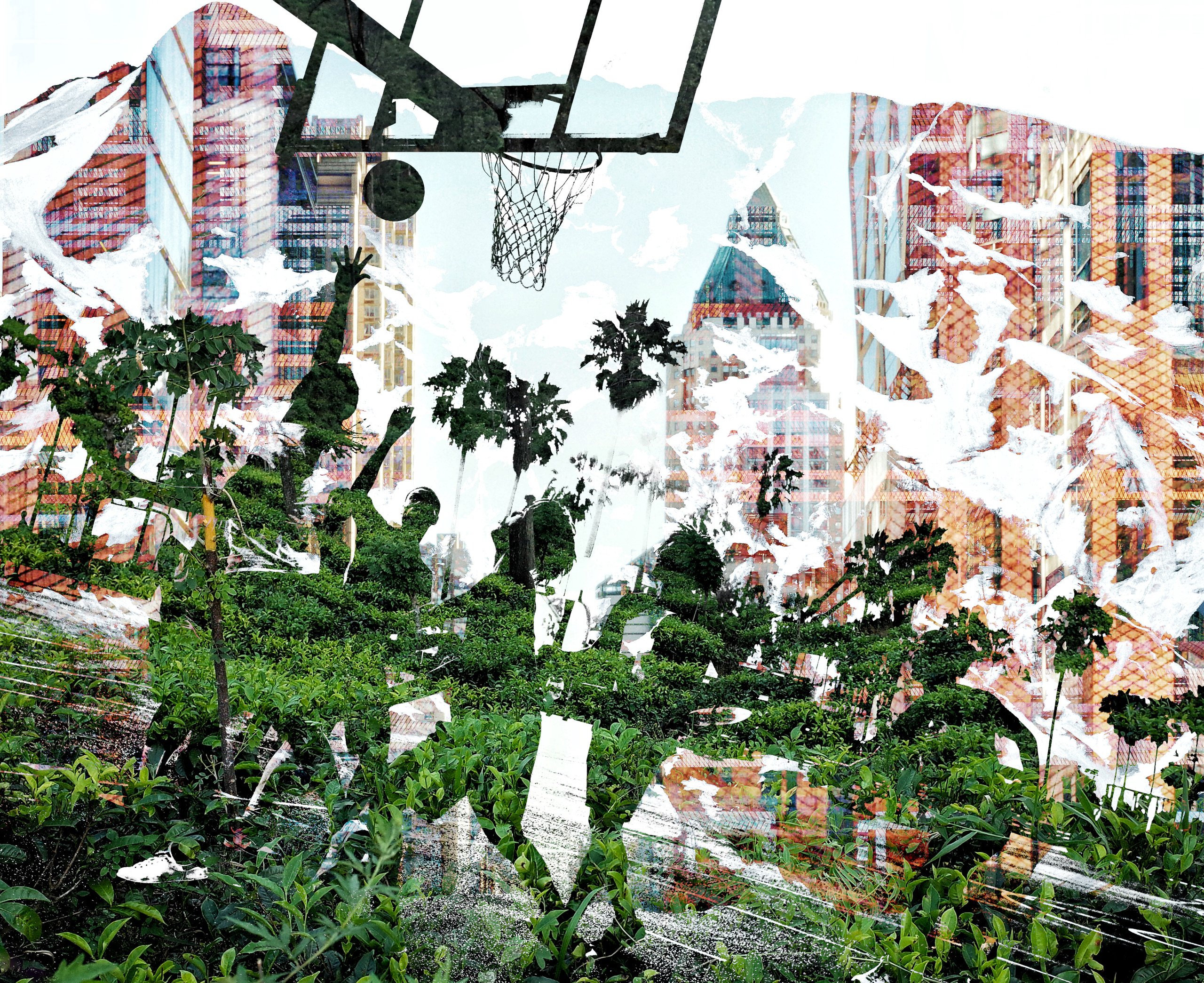 See the moment and catche. commercial and reportage