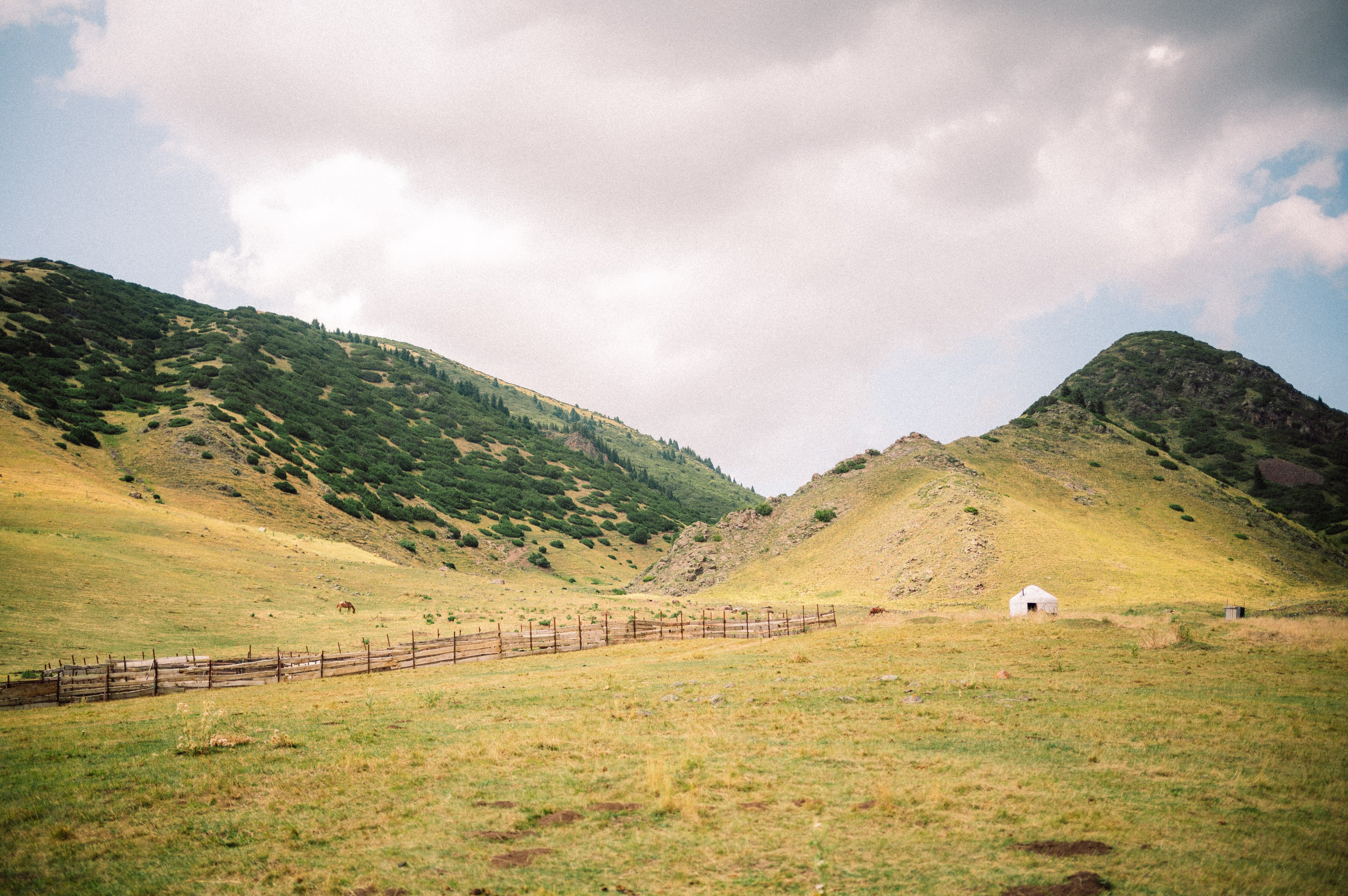 Плато Ассы: июль 2025. Фотограф в Алматы — Дарья Фёдорова