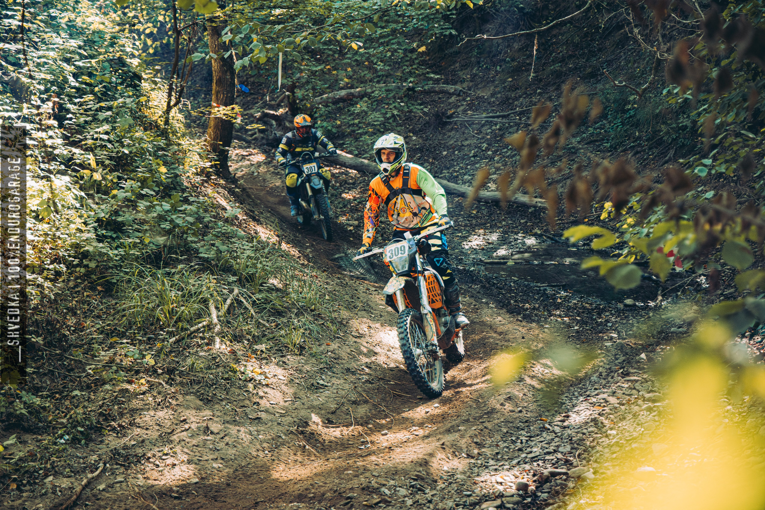 2 лесной день. Ваш экстрим фотограф Кудрева Яна