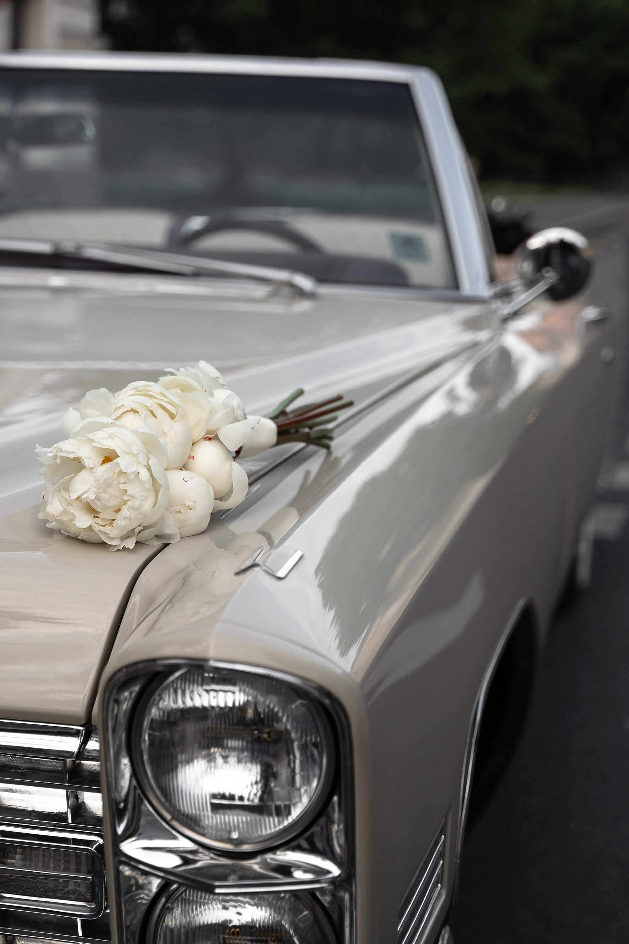 V|E. Фотограф Владислав Телешун (г. Москва)