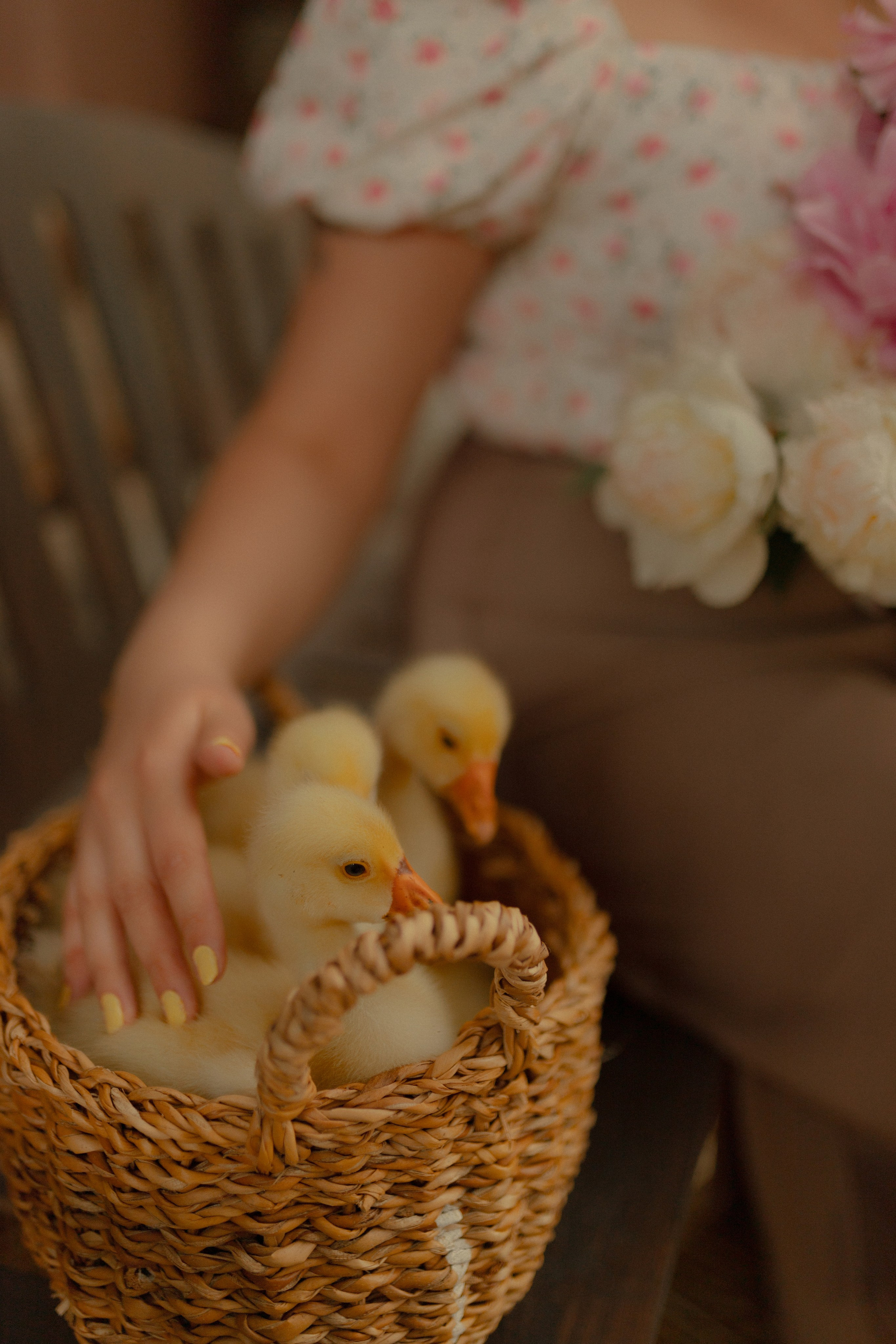 Света. Фотограф Татьяна Семенова