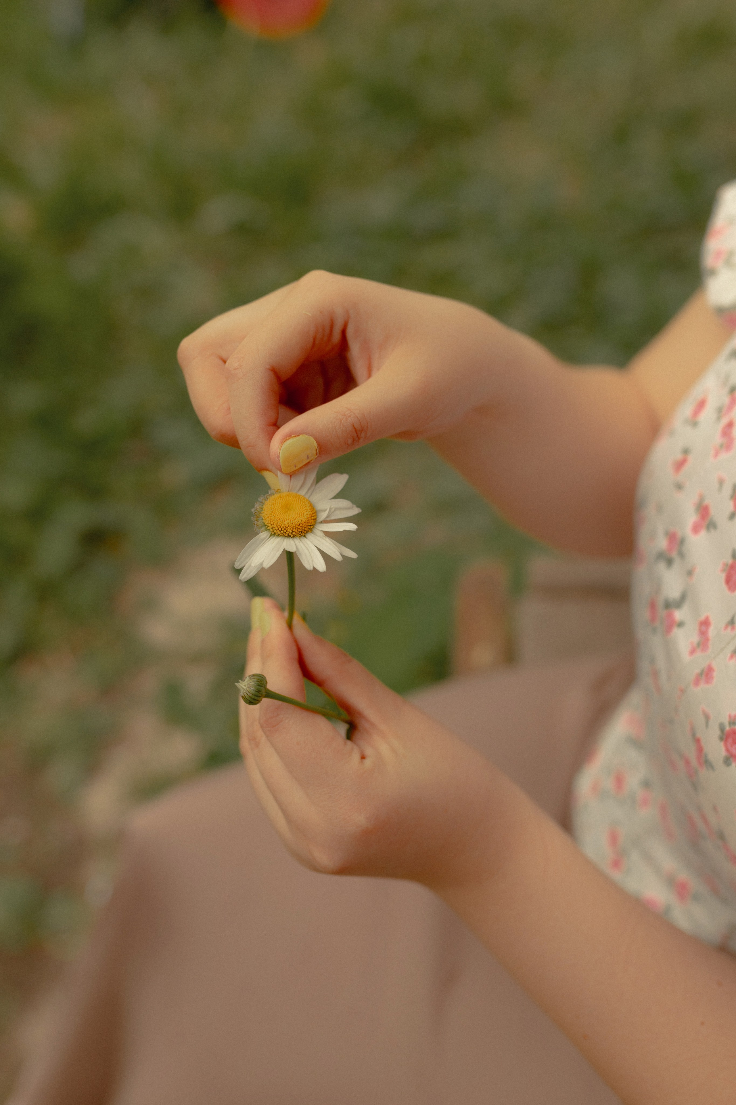 Света. Фотограф Татьяна Семенова