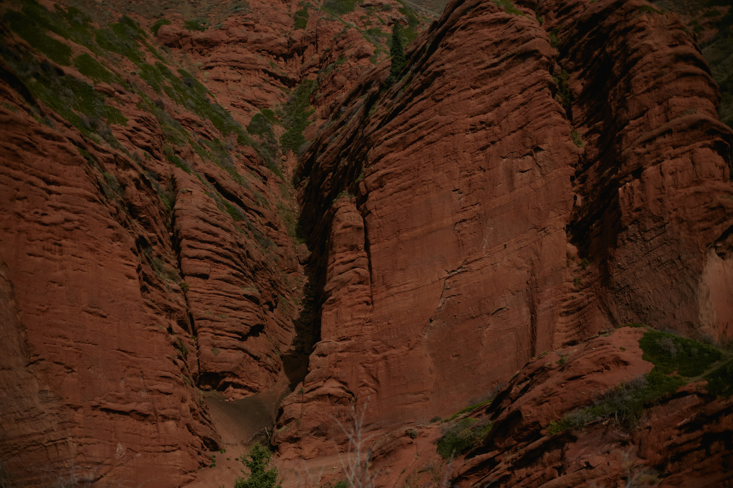Кыргызтан. Профессиональный Фотограф во Владимире, в Москве и в Суздале — Полина Романычева