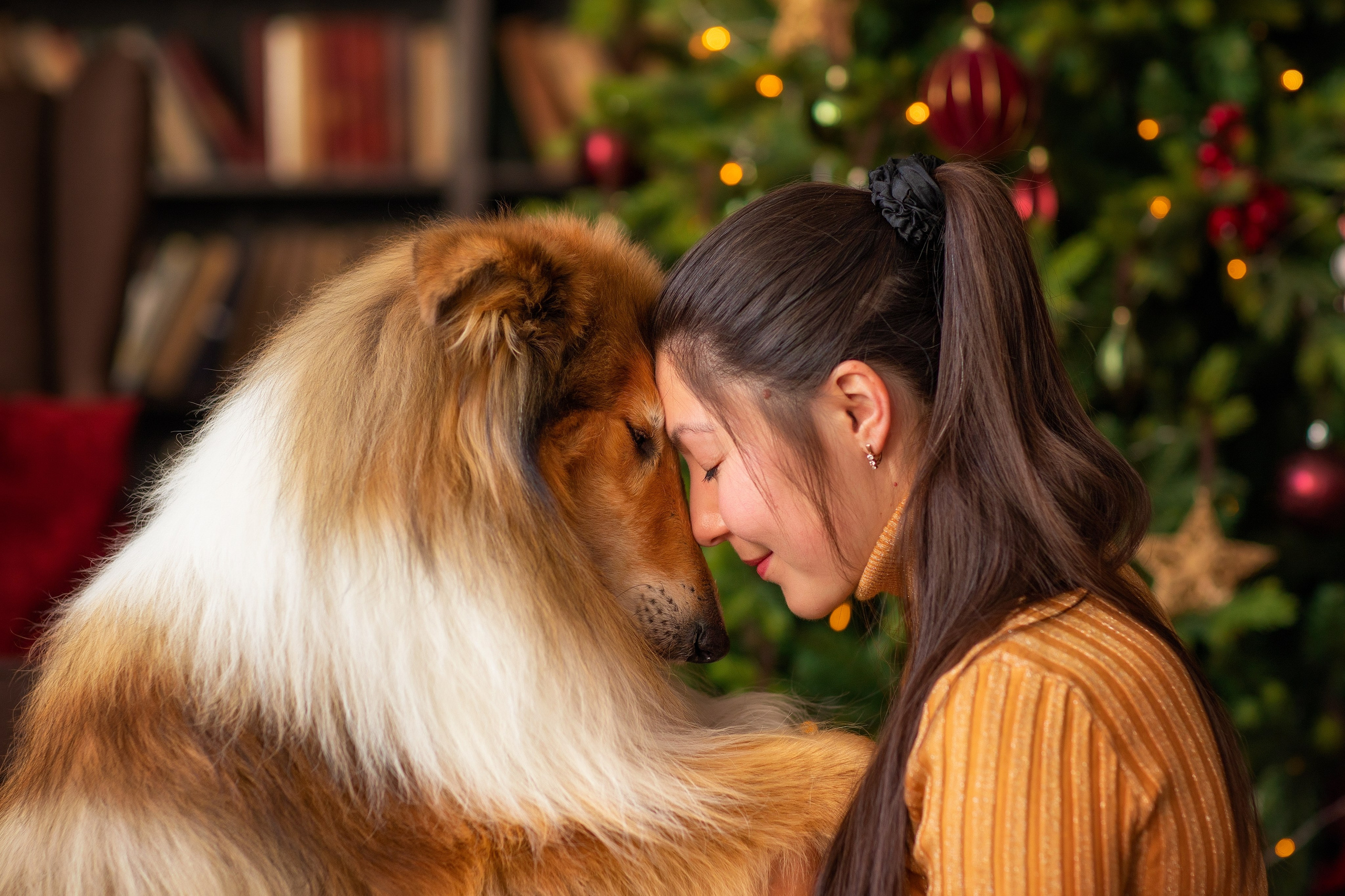 Фотосесссия Собака+1. Фотограф для Вашей собаки