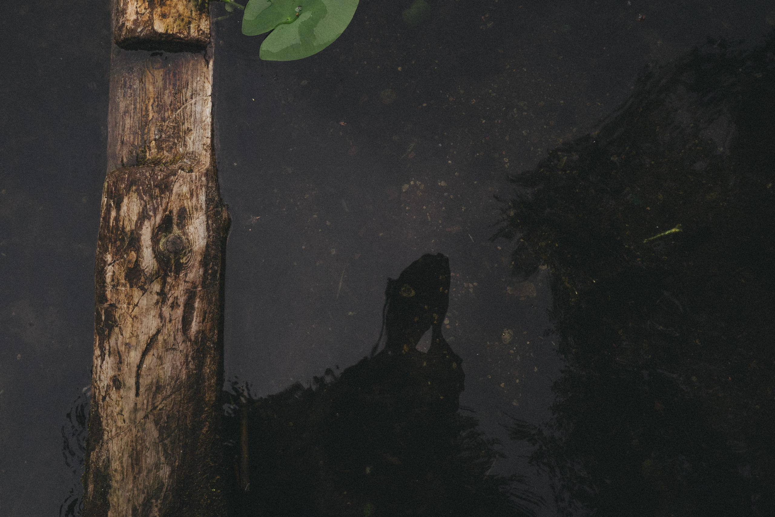 Happy Birthday, Alina ♥️. <3