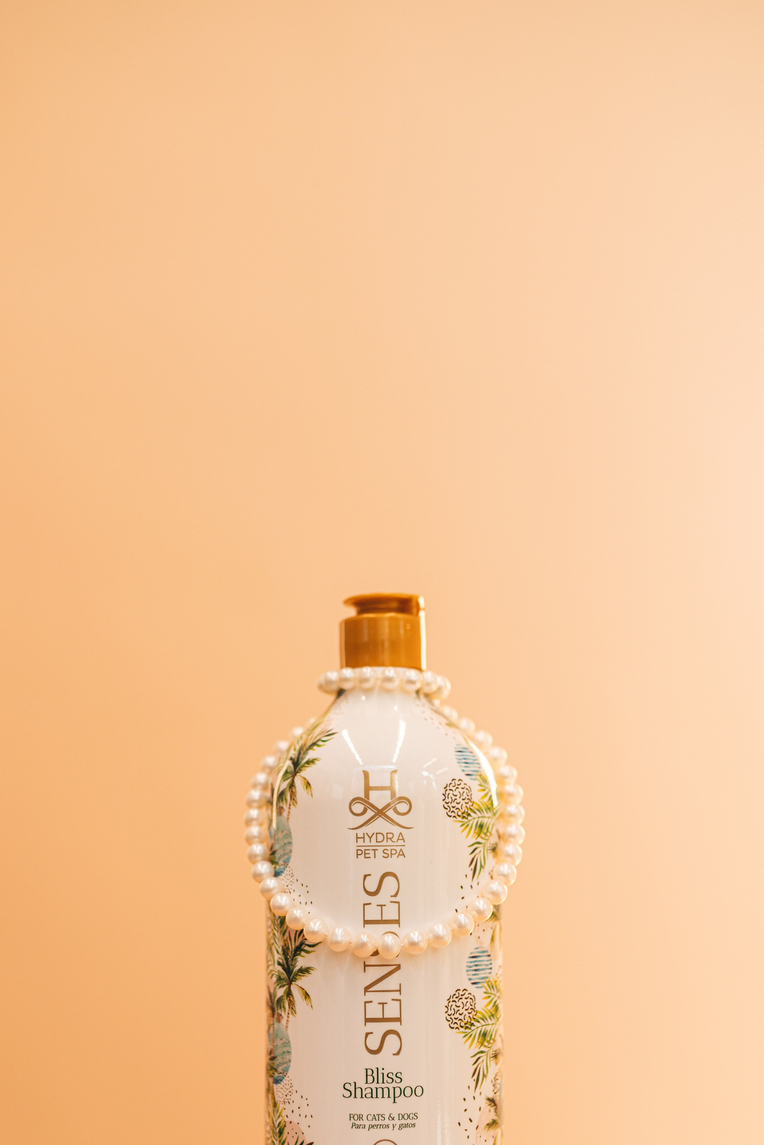 Груминг — салон. Фотограф анималист Осипчикова Мария