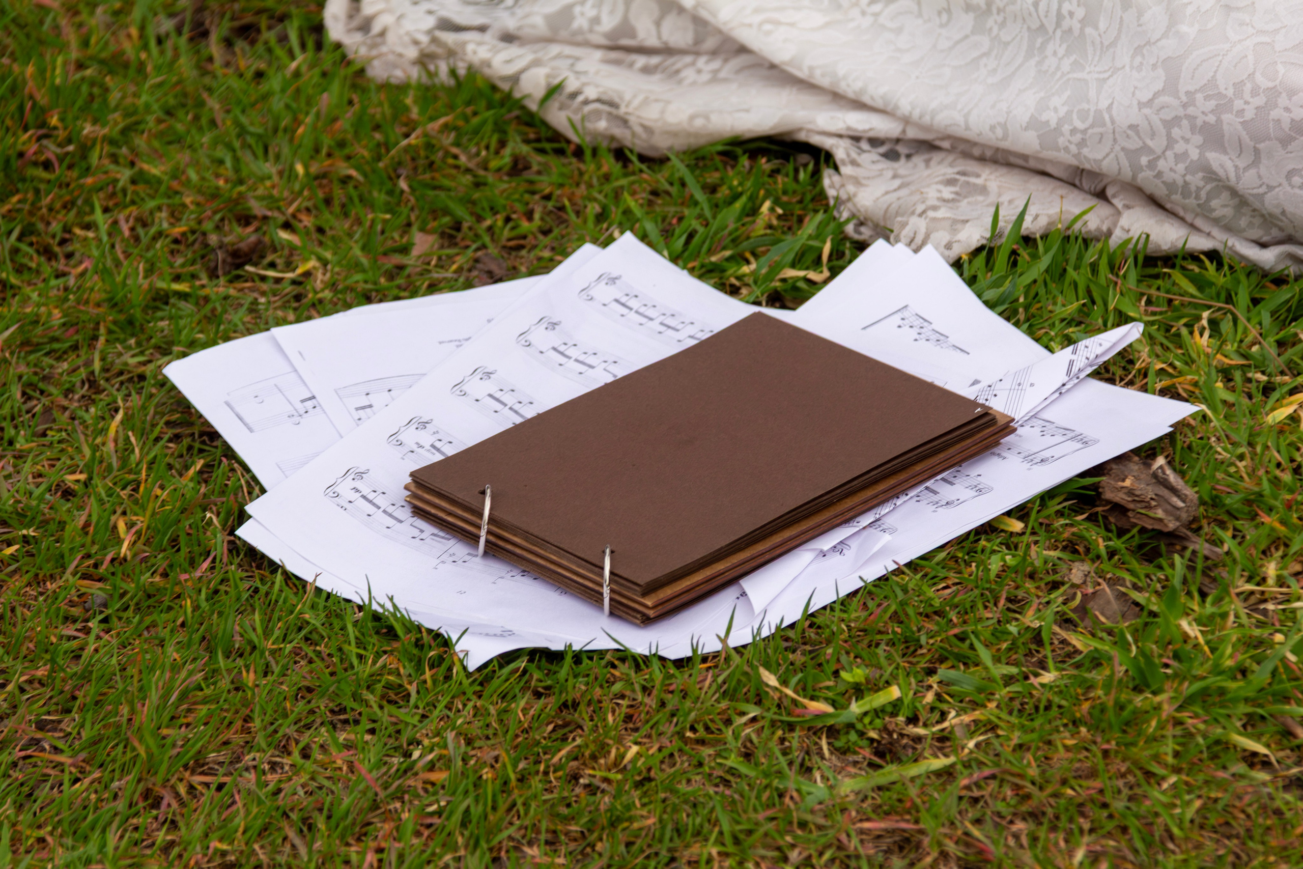 Женский портрет на природе. Главная