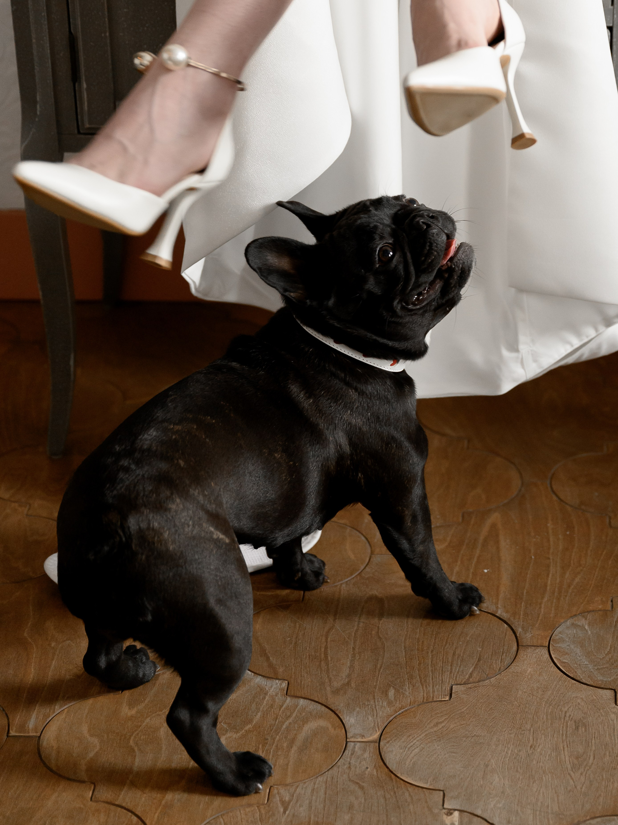 What a wonderful world. Backpackweddings фотограф и видеограф Ростов-на-Дону Сочи