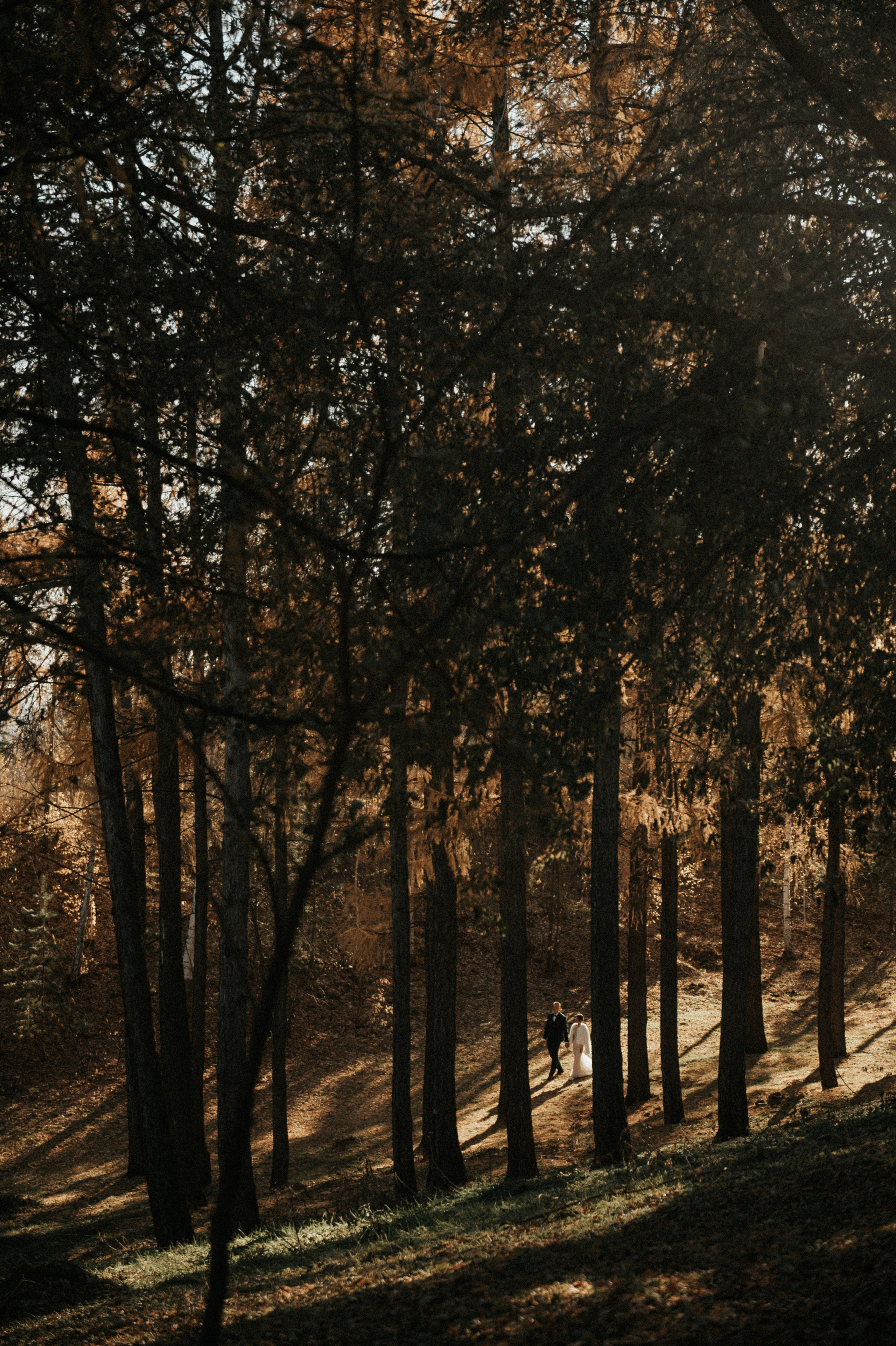 Свадебные фотографии. Фотограф в Барнауле Дарья Бутурлакина. Люби.Цени.Касайся