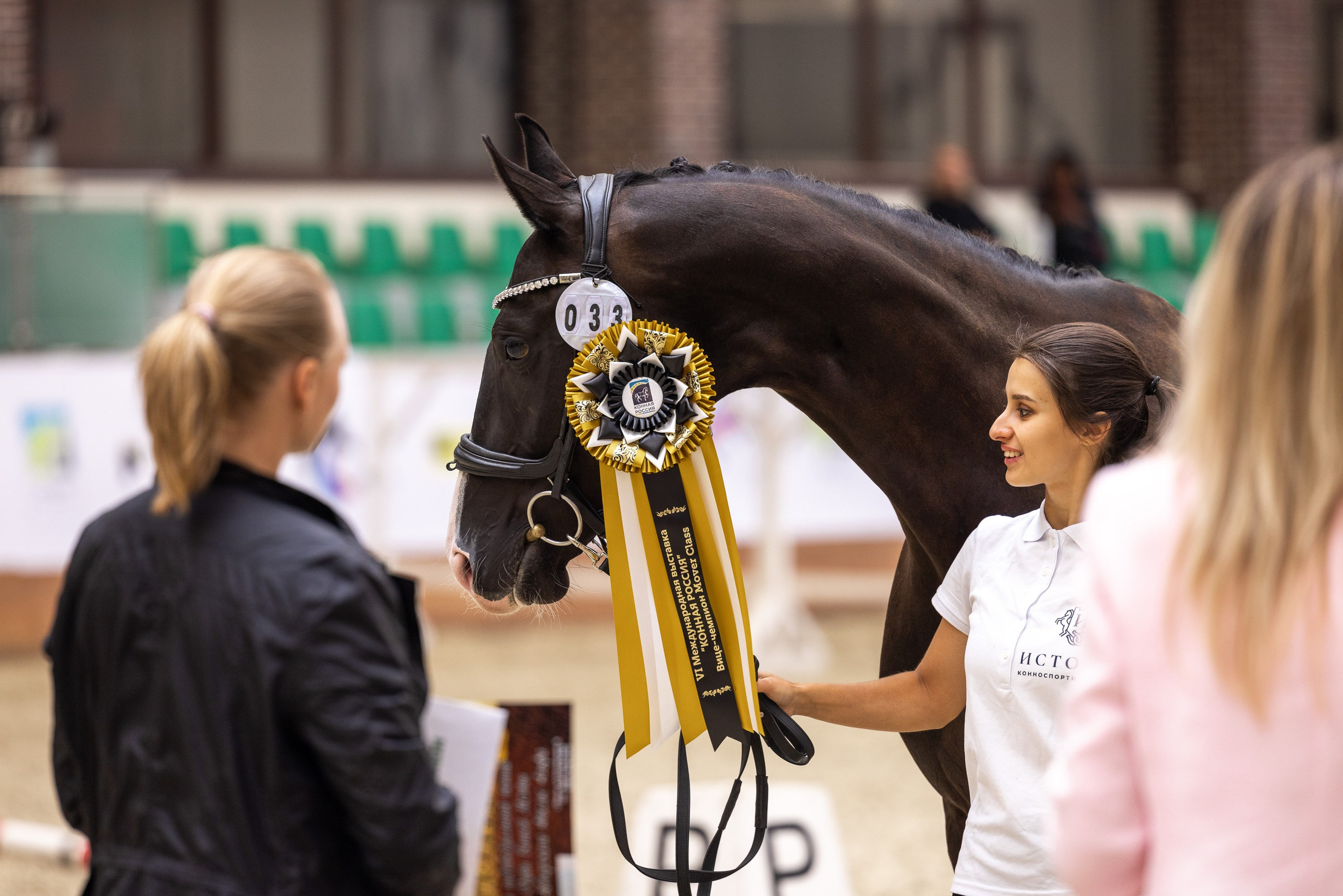 Конные выставки. Mrs.Aquarelia Конный фотограф Марианна Леонтьева