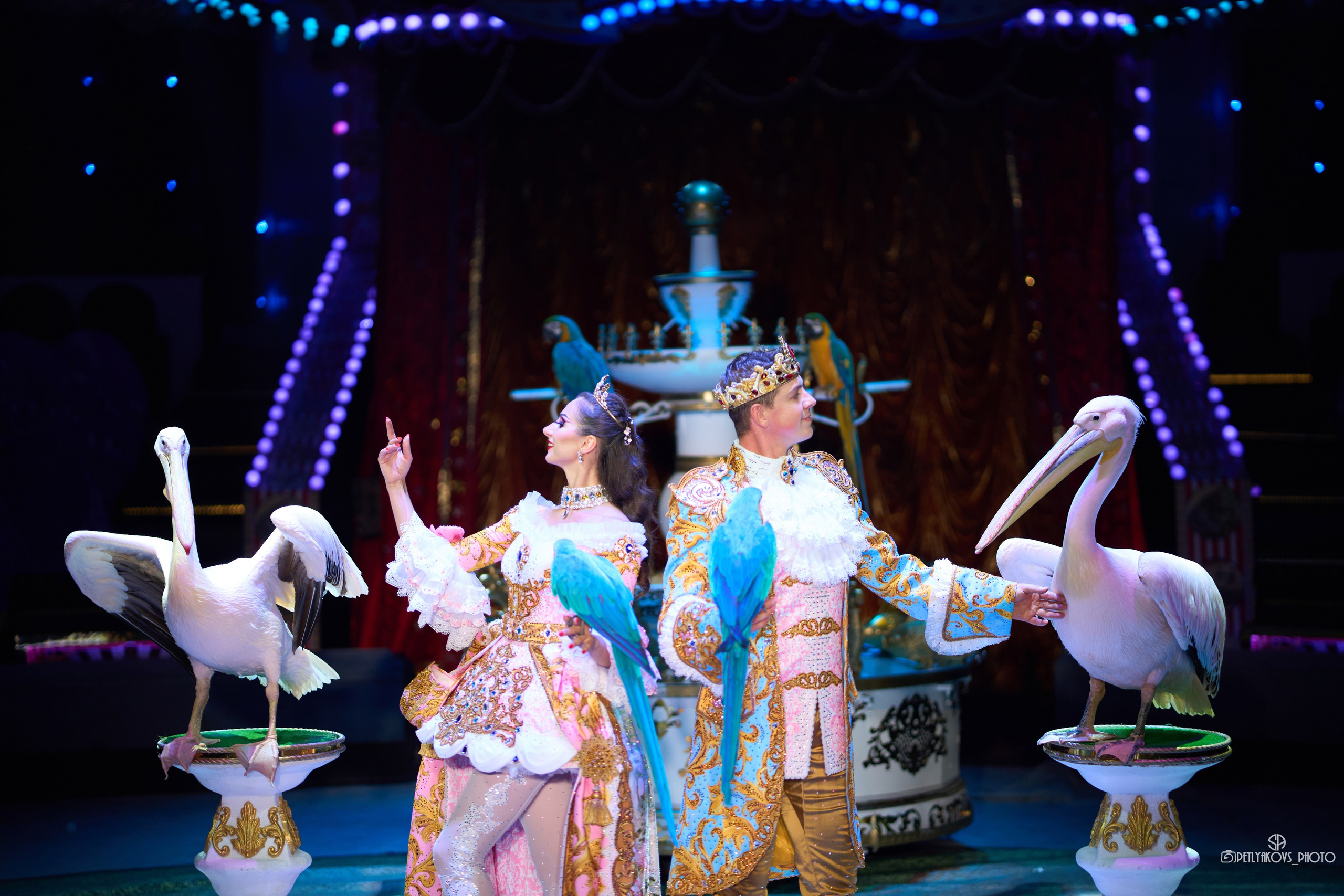 Цирк Ги Эрадзе Кисловодск