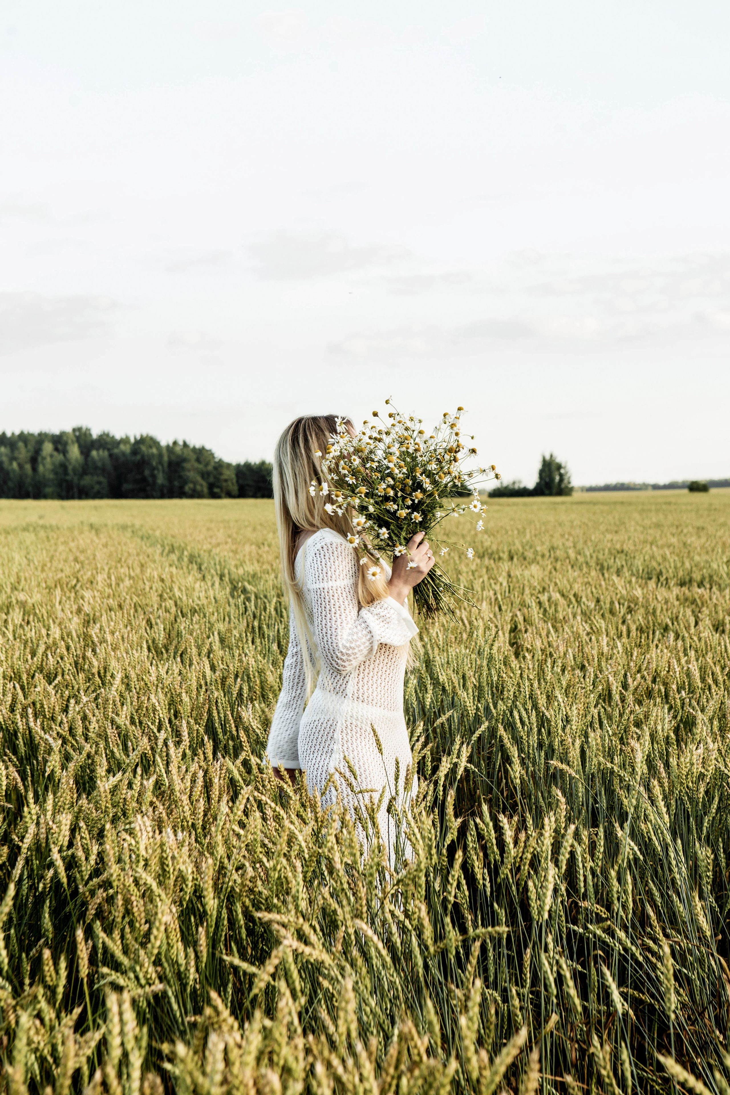 Ромашки. Фотограф Екатерина Голицына