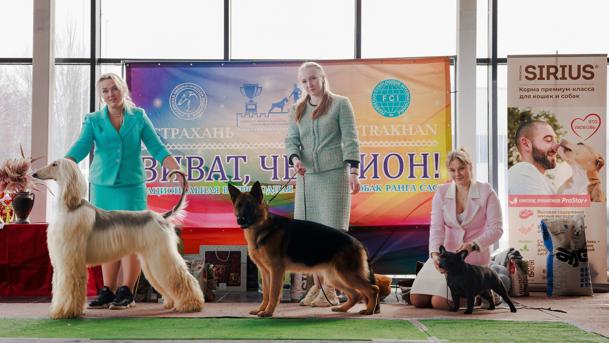 Выставки. Фотограф Марк Файзулин