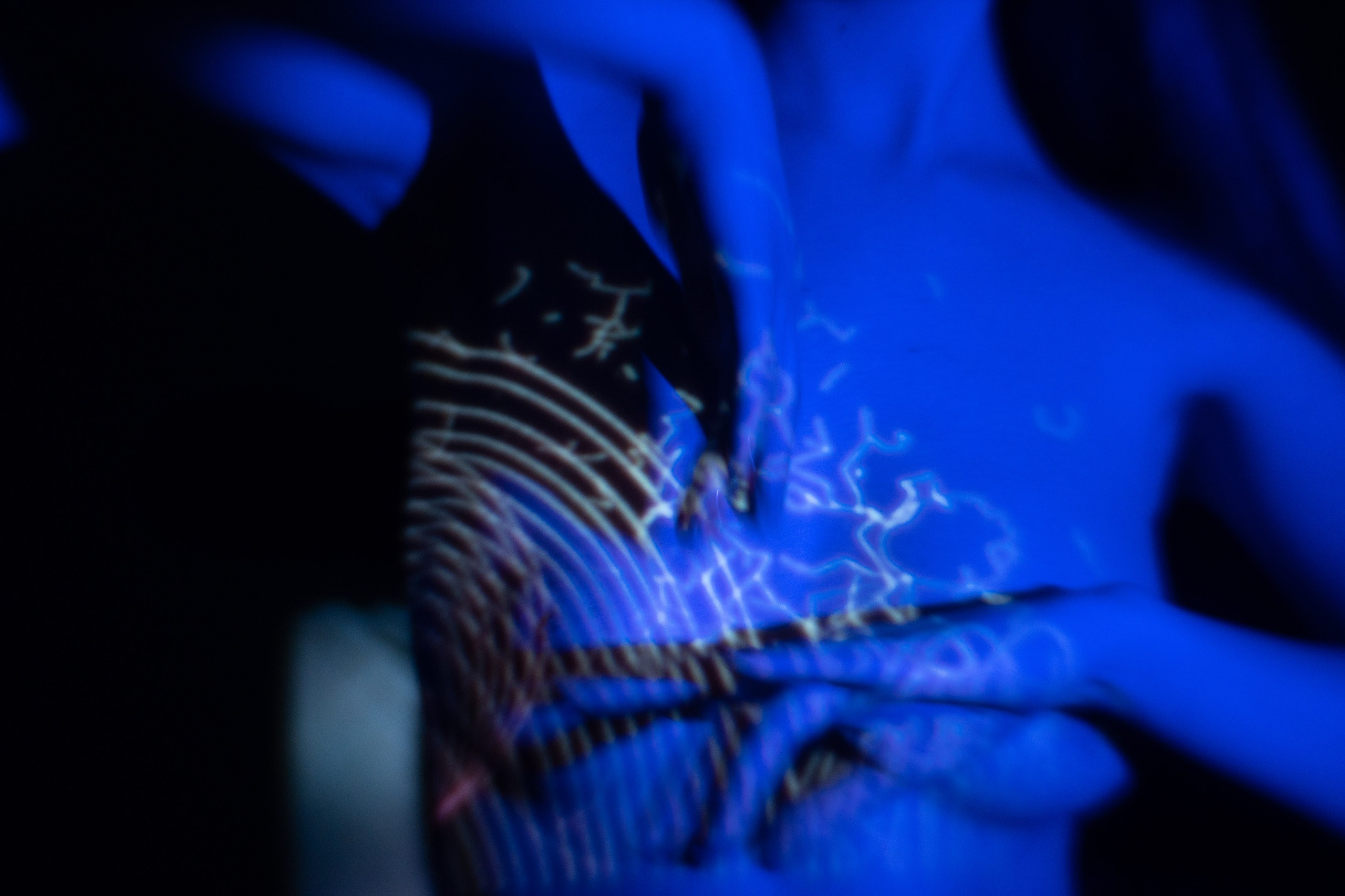 Фотограф * Вячеслав Скоробогатов * Визульный Артист