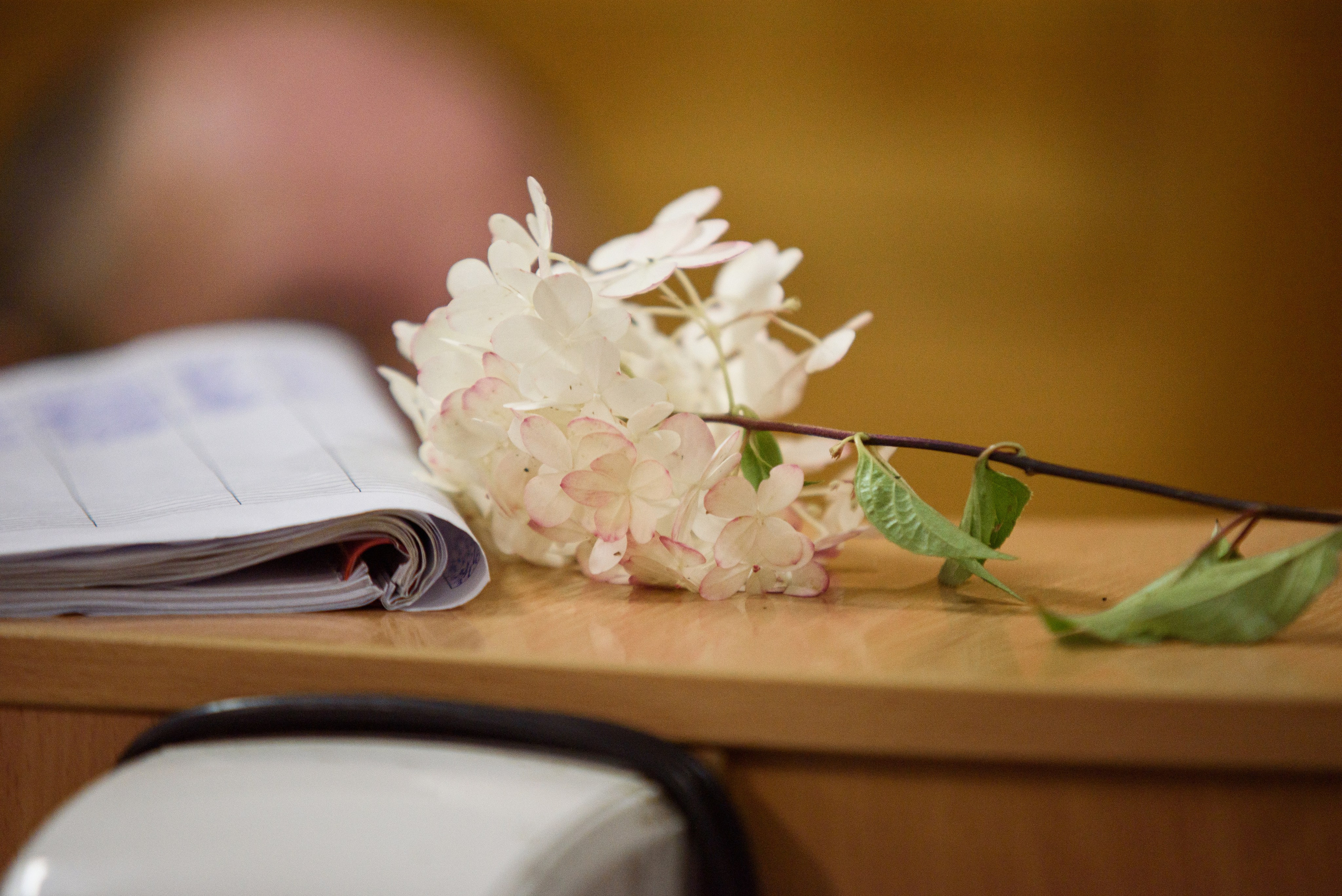 1сентября 2024. Наталия Март | Фотограф СПб