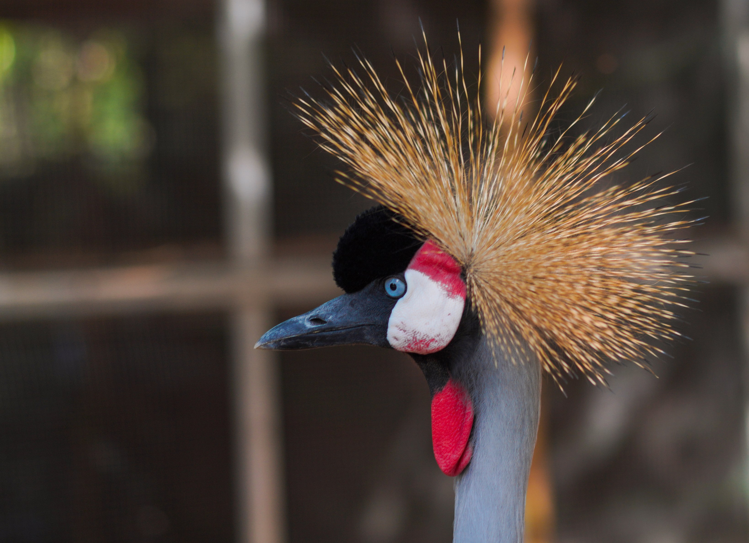 Остров Фукуок, Вьетнам. Фотограф Сергей Кишкель Дананг Нячанг Фукуок