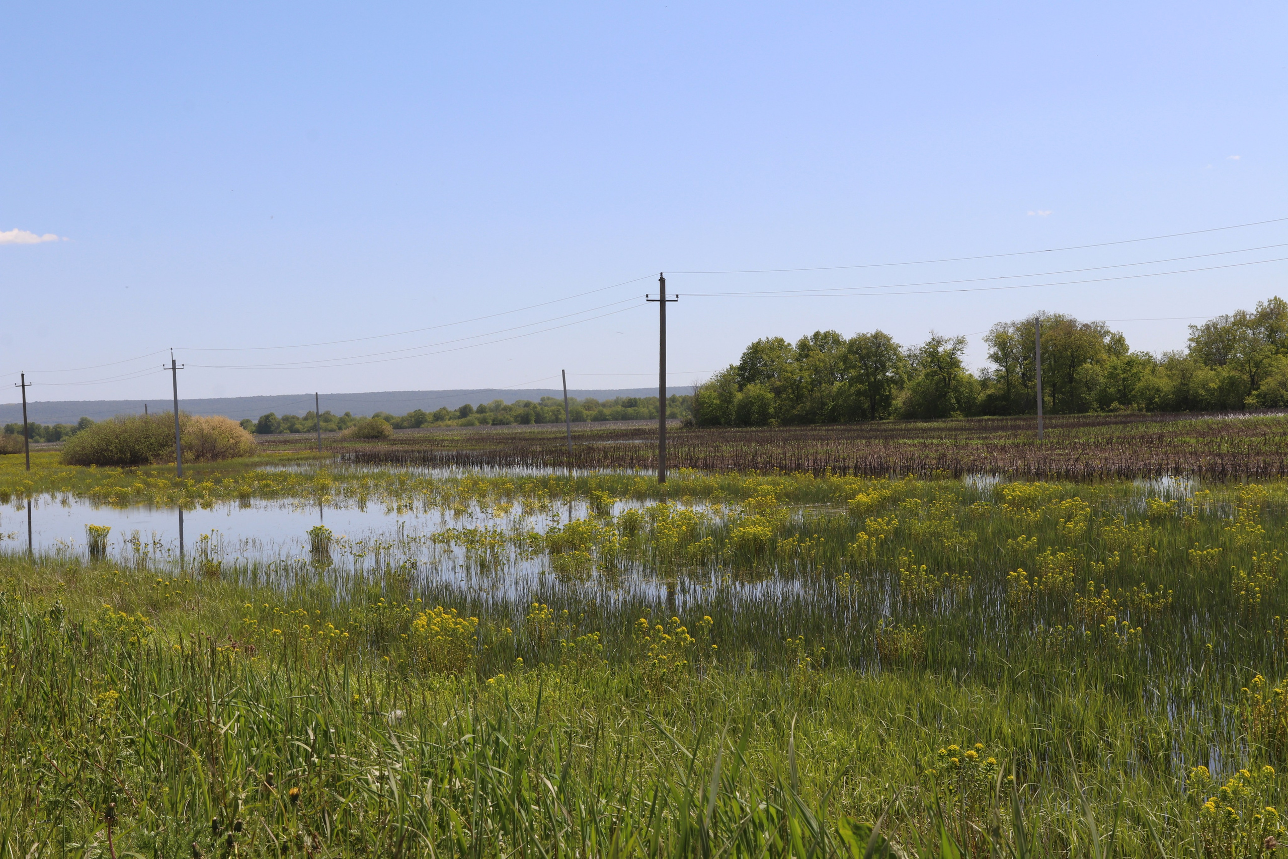 Велопоход Уфа — Мелеуз. Май 2024. Путешественник-фотограф из Санкт-Петербурга Татьяна Свистулина