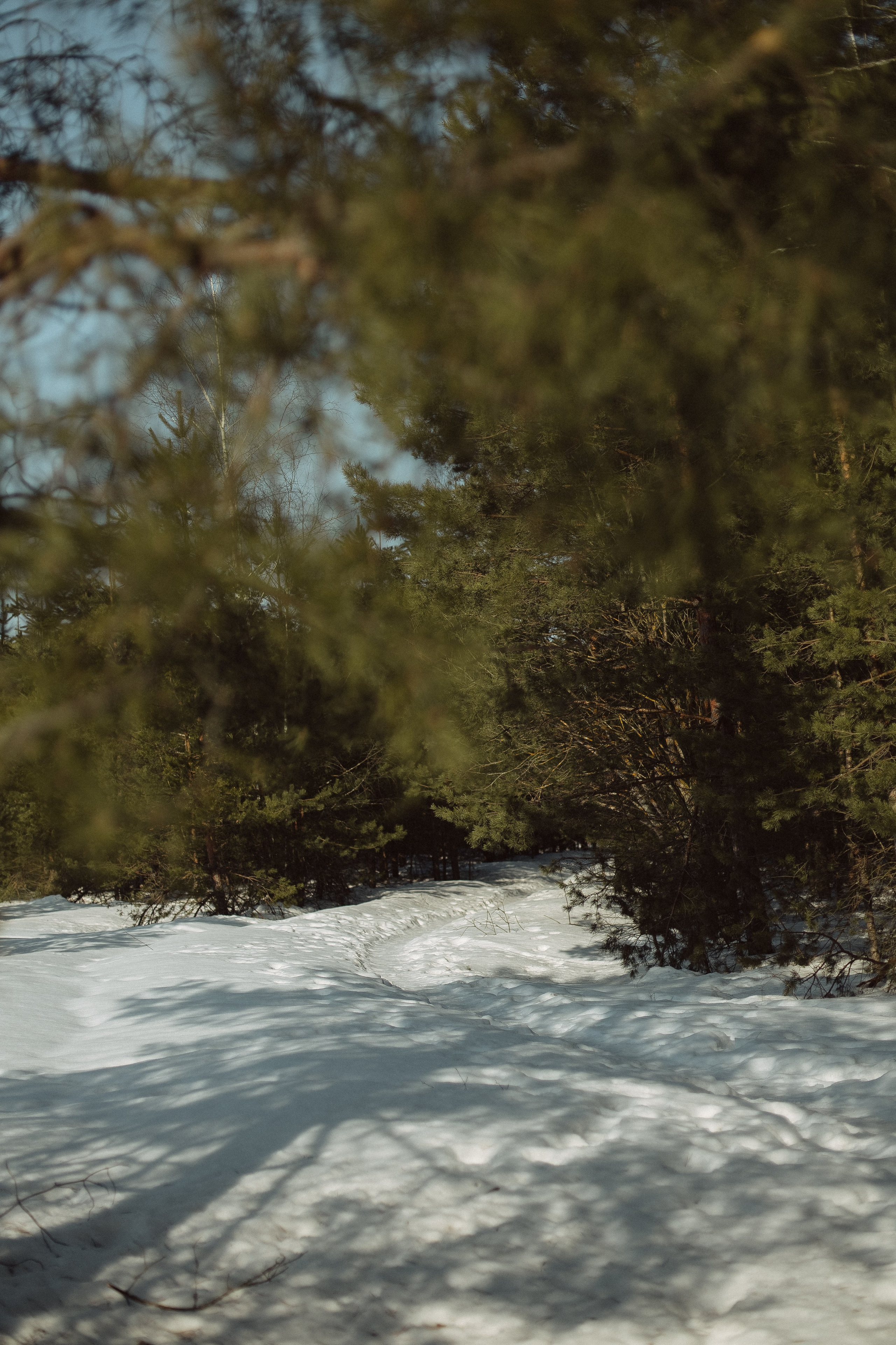 Экопарк ПОЛЯНЫ. Главная