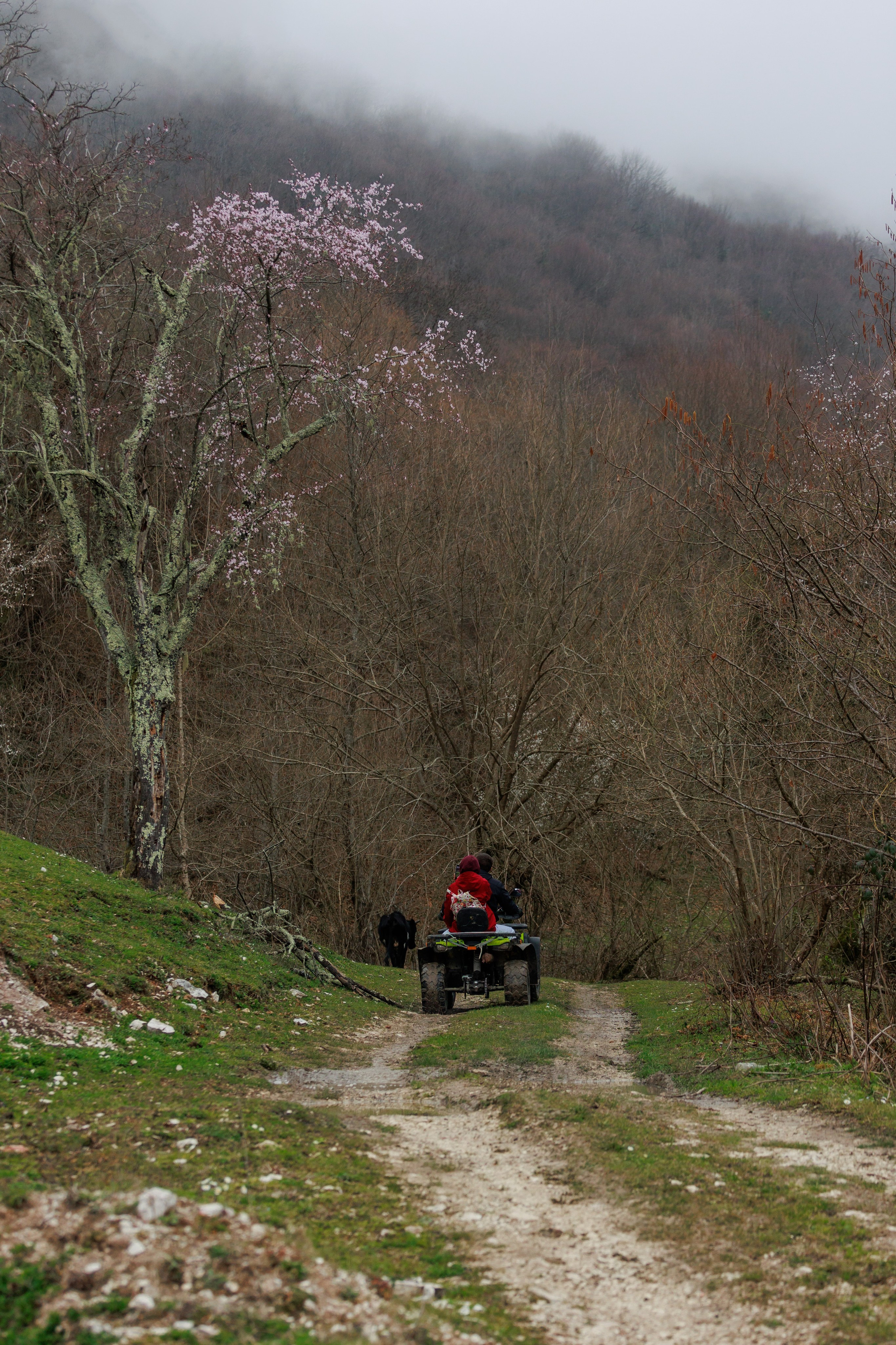 Квадроциклы. Фотограф в Санкт-Петербурге и Москве Макс Спектор