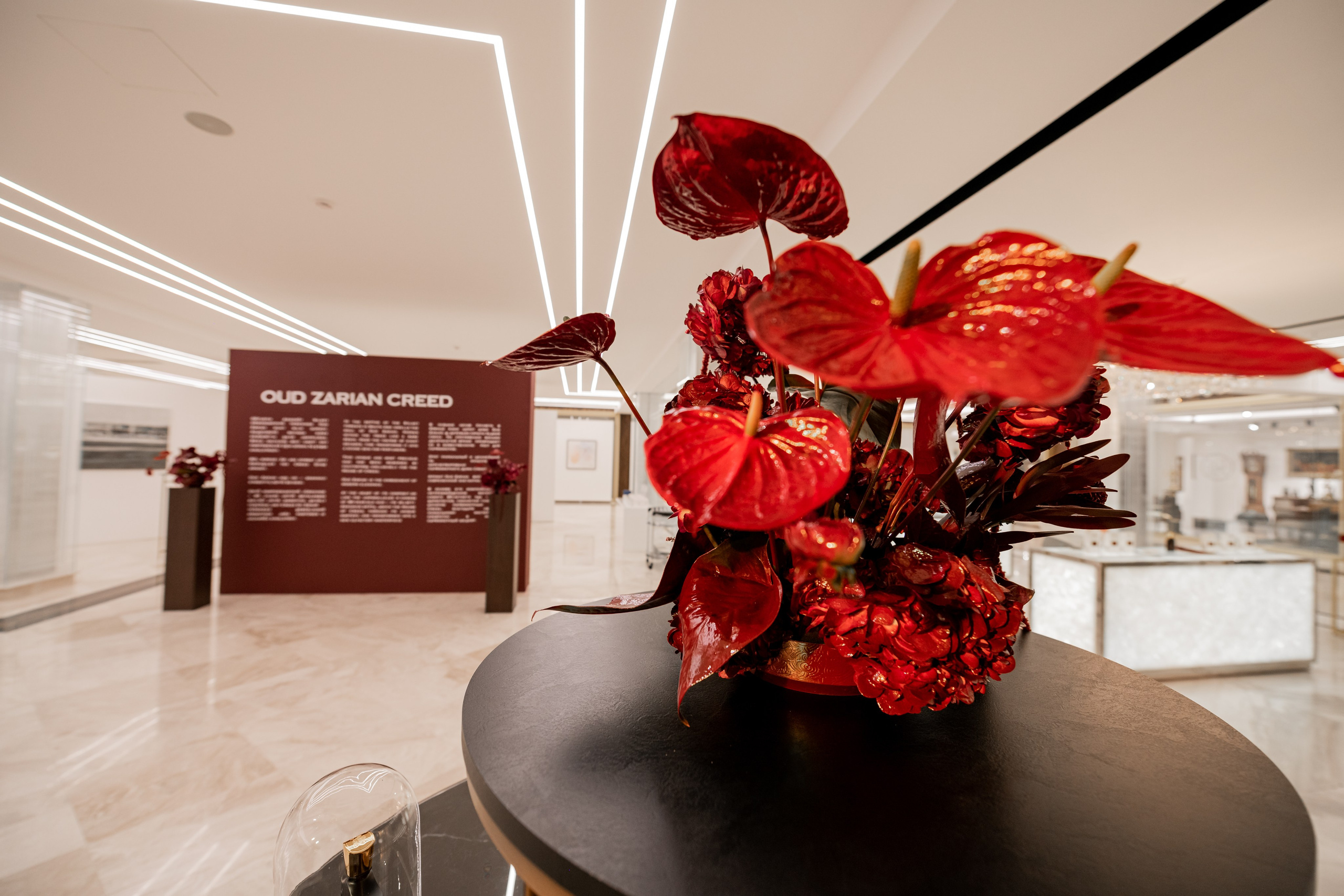 CREED. Фотограф Астана, Алматы