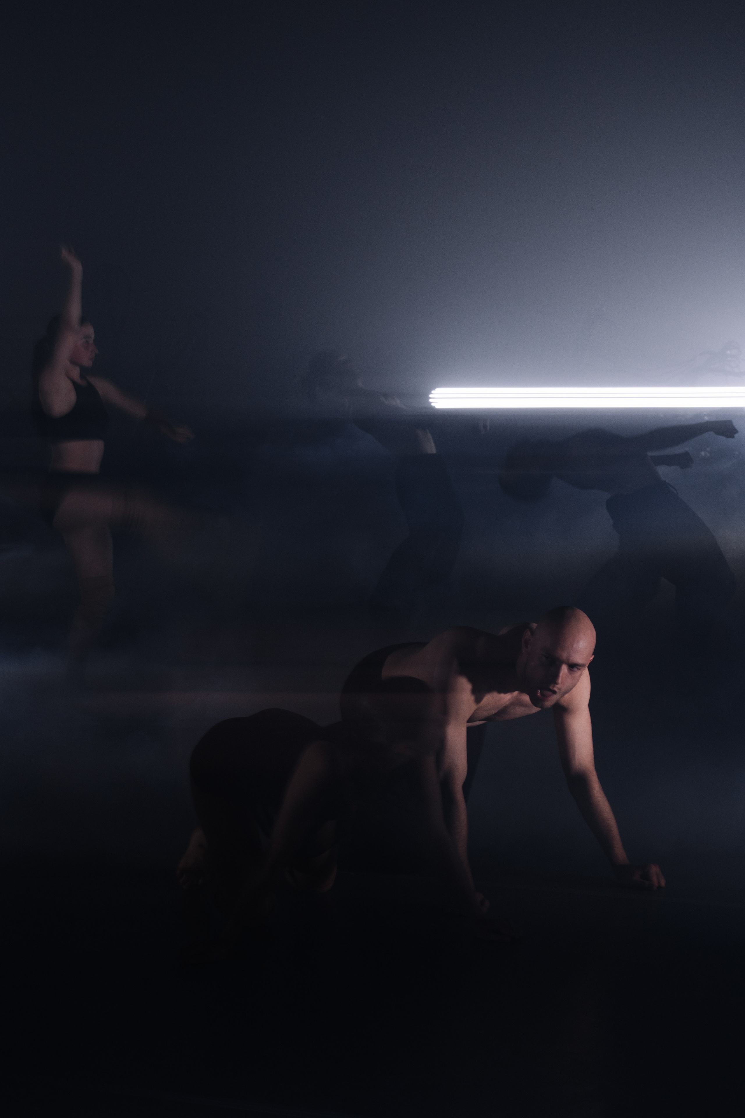 PERFORMA, The Hour of the Horse. @tomrus: Рустам Шагиморданов — фотограф