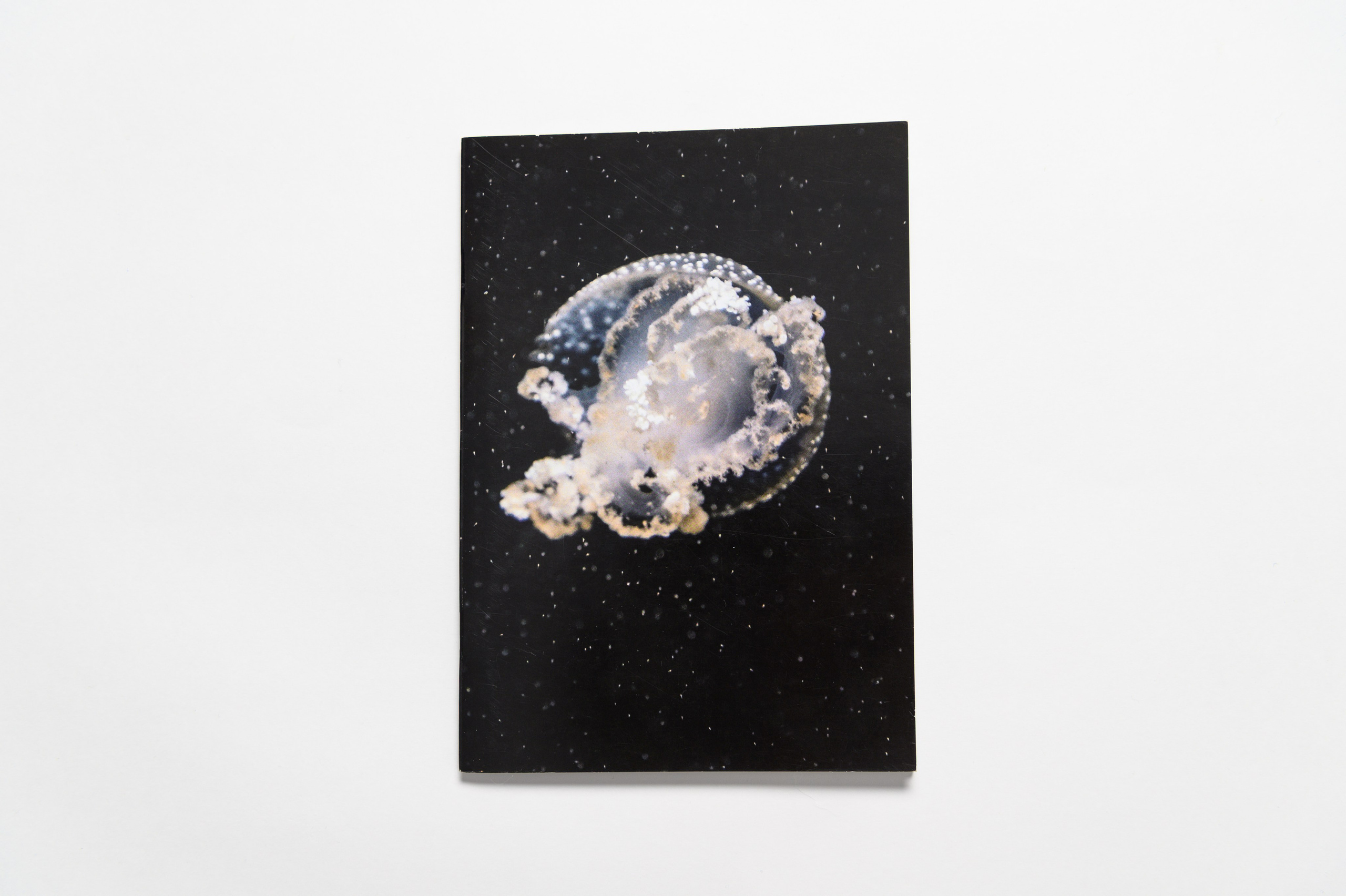 Источник. Наталия Шульгина — визуальный художник, фотограф