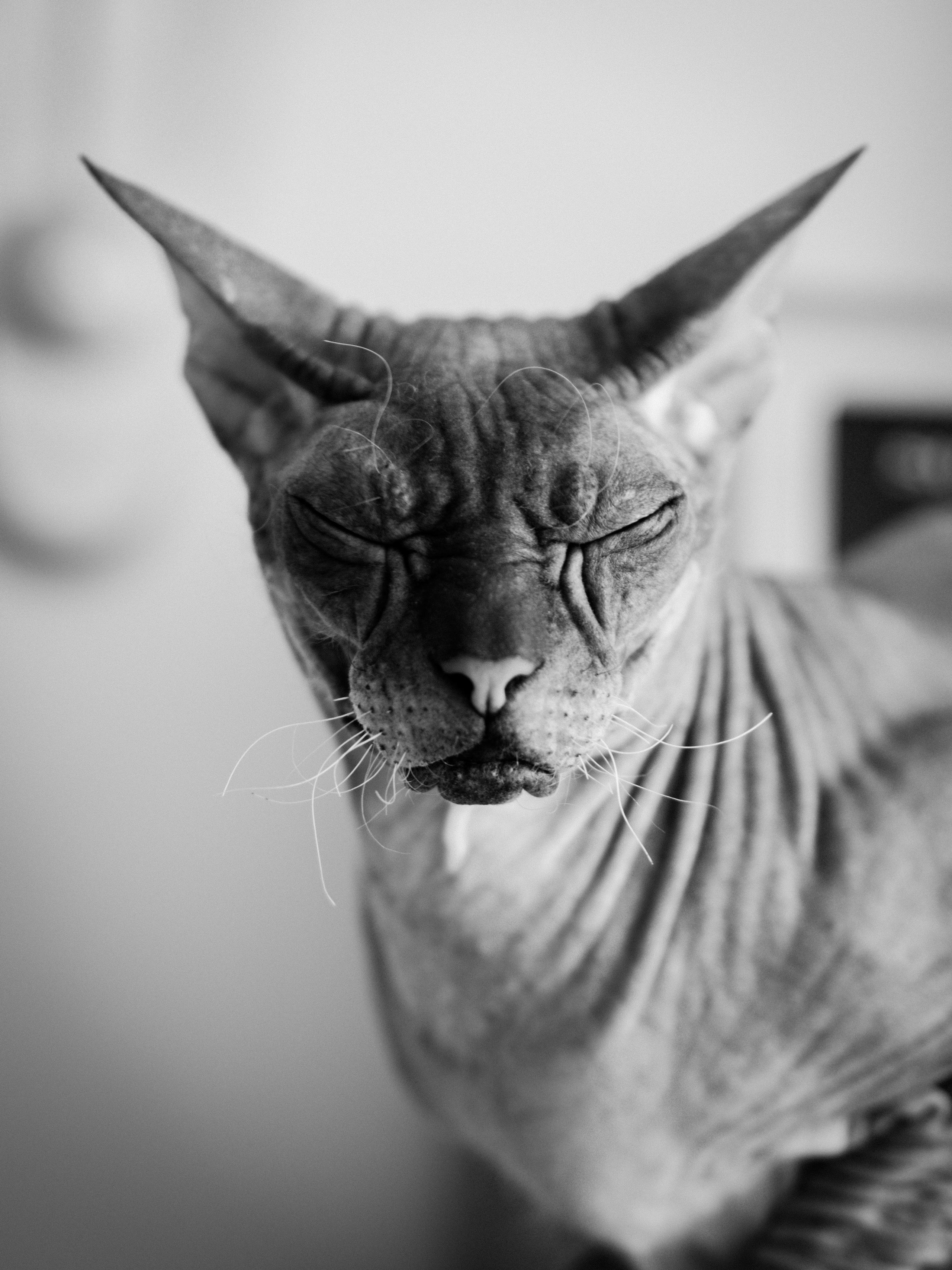 Project_35mm. Репортажный и портретный фотограф в Санкт-Петербурге Василина Жук