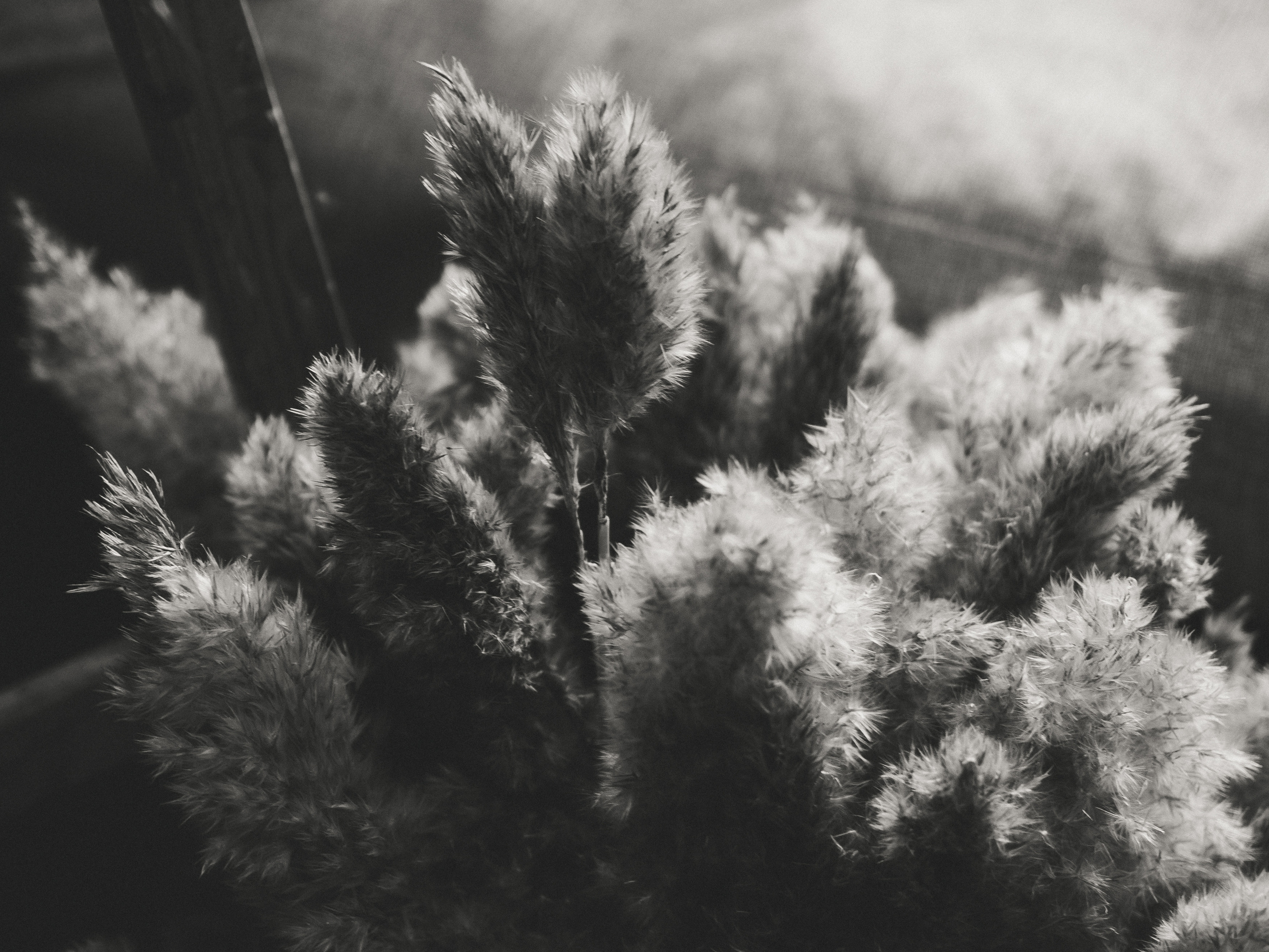 Project_35mm. Репортажный и портретный фотограф в Санкт-Петербурге Василина Жук