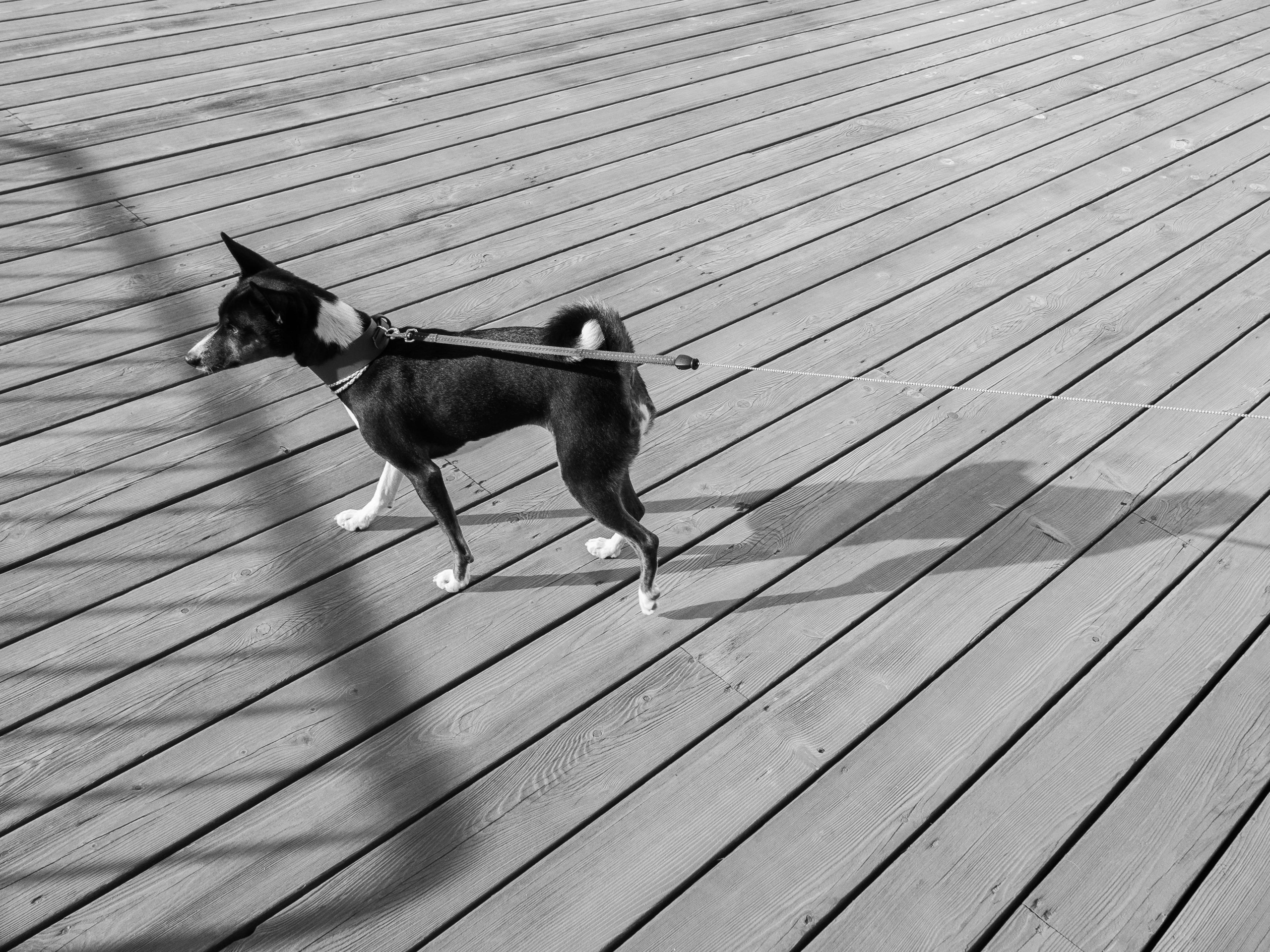 Project_35mm. Репортажный и портретный фотограф в Санкт-Петербурге Василина Жук