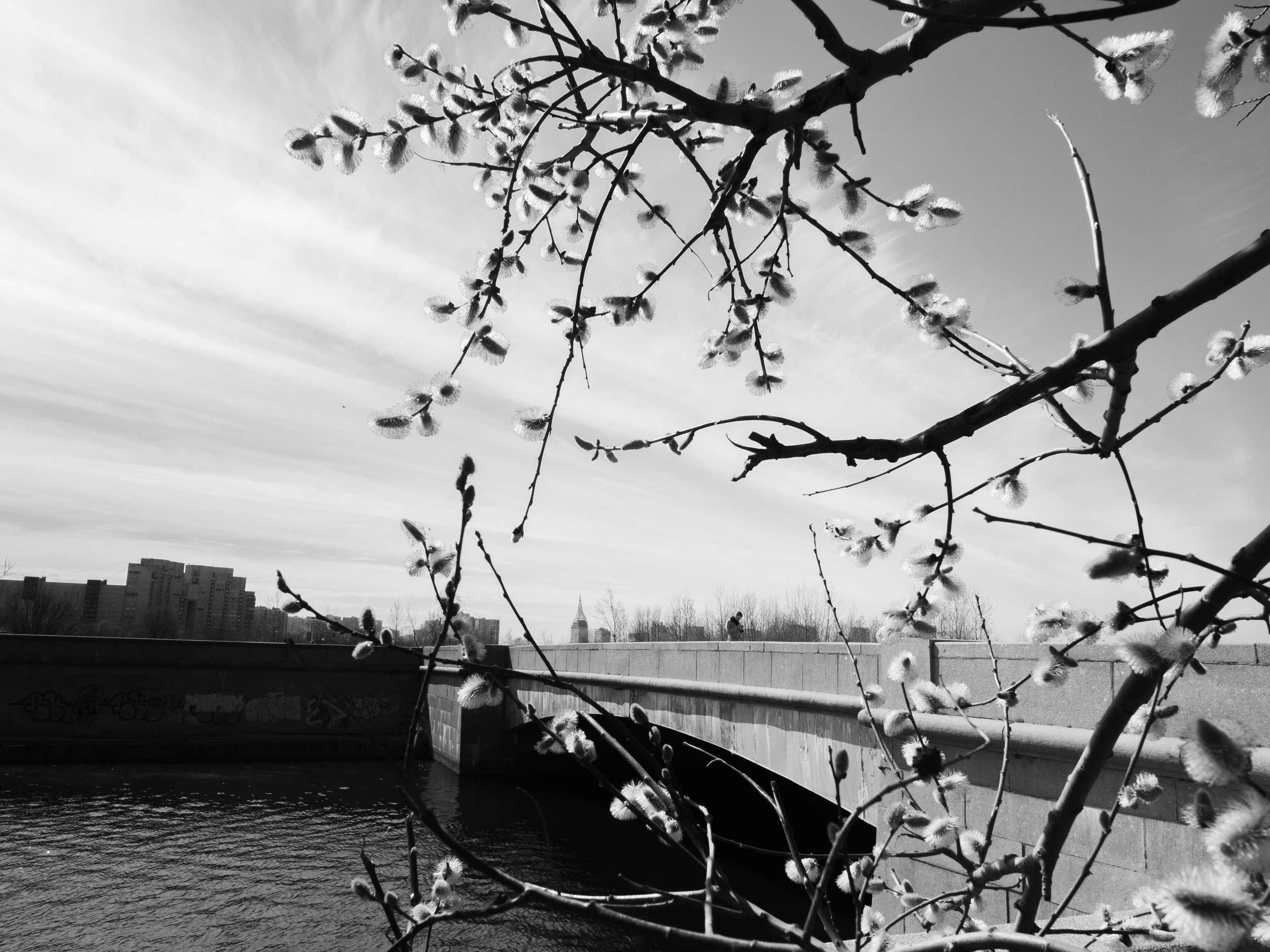 Project_35mm. Репортажный и портретный фотограф в Санкт-Петербурге Василина Жук