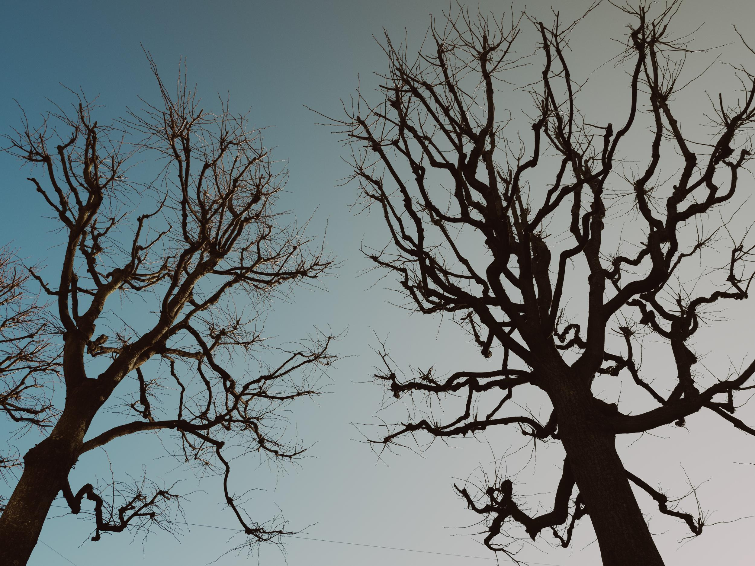 Project_35mm. Репортажный и портретный фотограф в Санкт-Петербурге Василина Жук