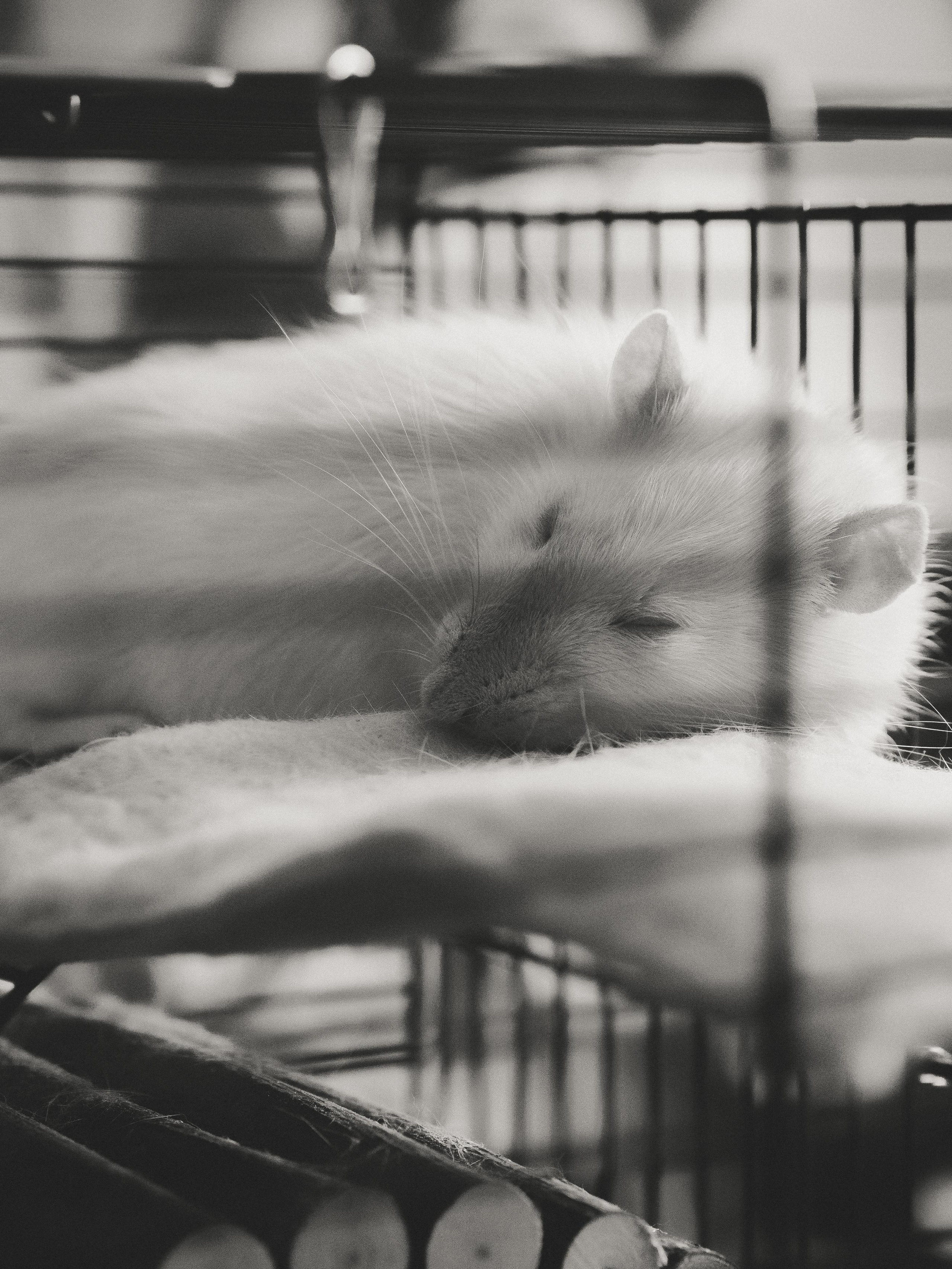 Project_35mm. Репортажный и портретный фотограф в Санкт-Петербурге Василина Жук