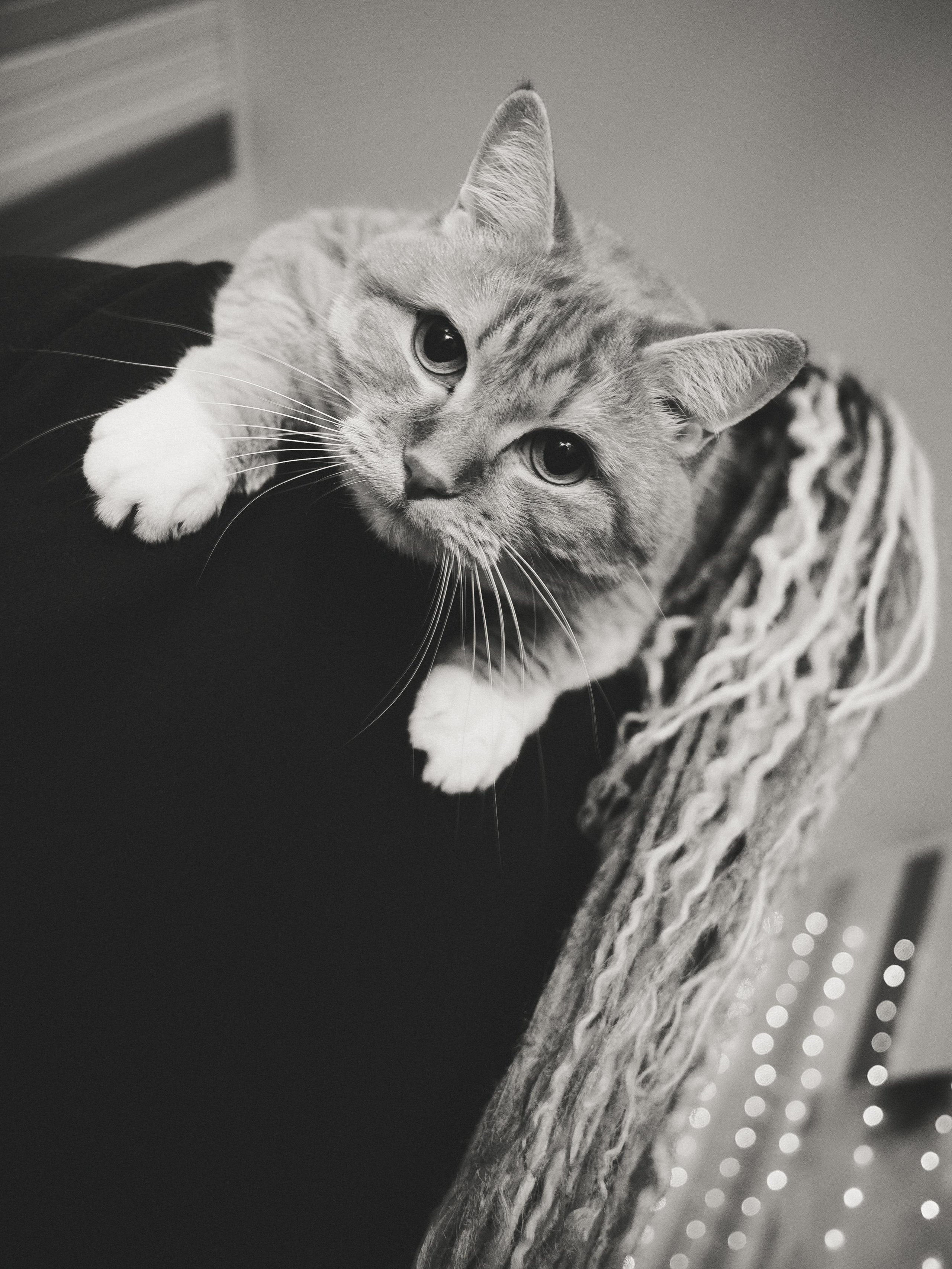 Project_35mm. Репортажный и портретный фотограф в Санкт-Петербурге Василина Жук