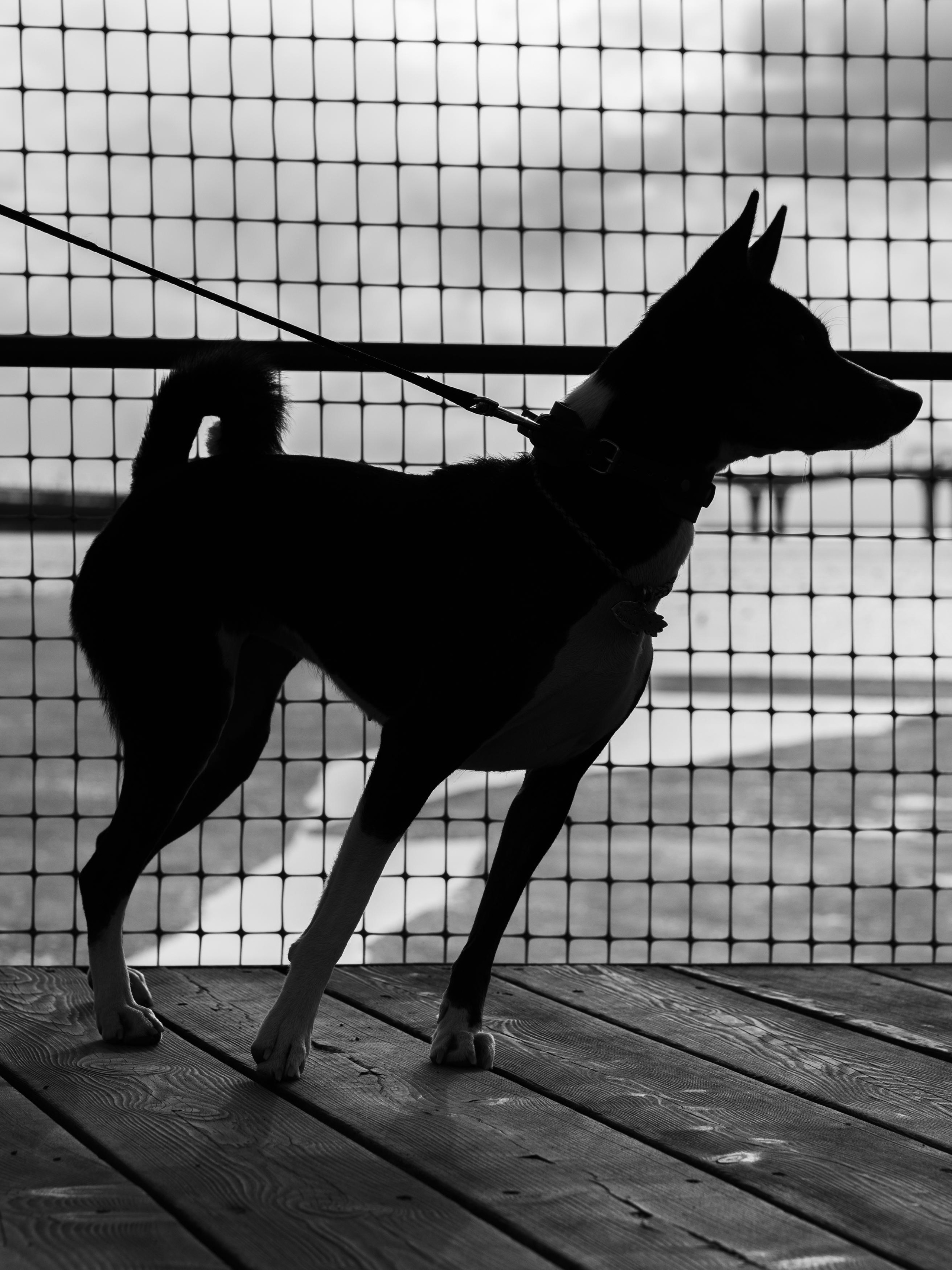 Project_35mm. Репортажный и портретный фотограф в Санкт-Петербурге Василина Жук