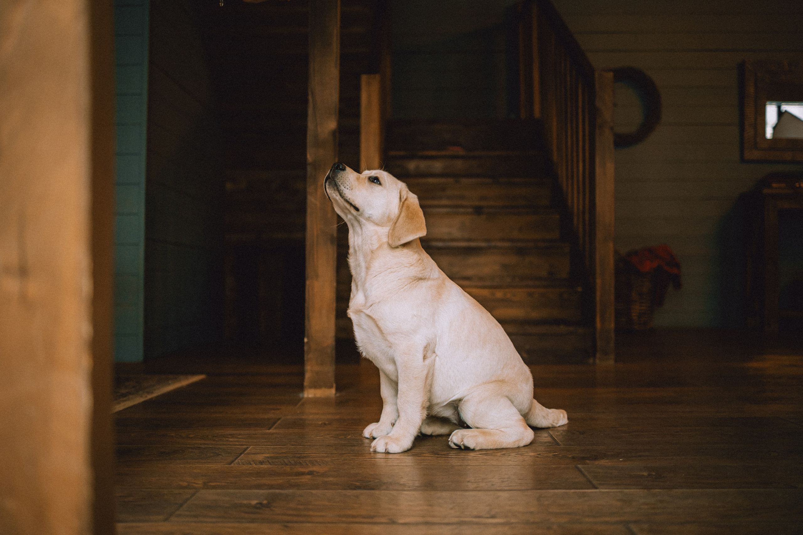 Ума, Берта и их семья