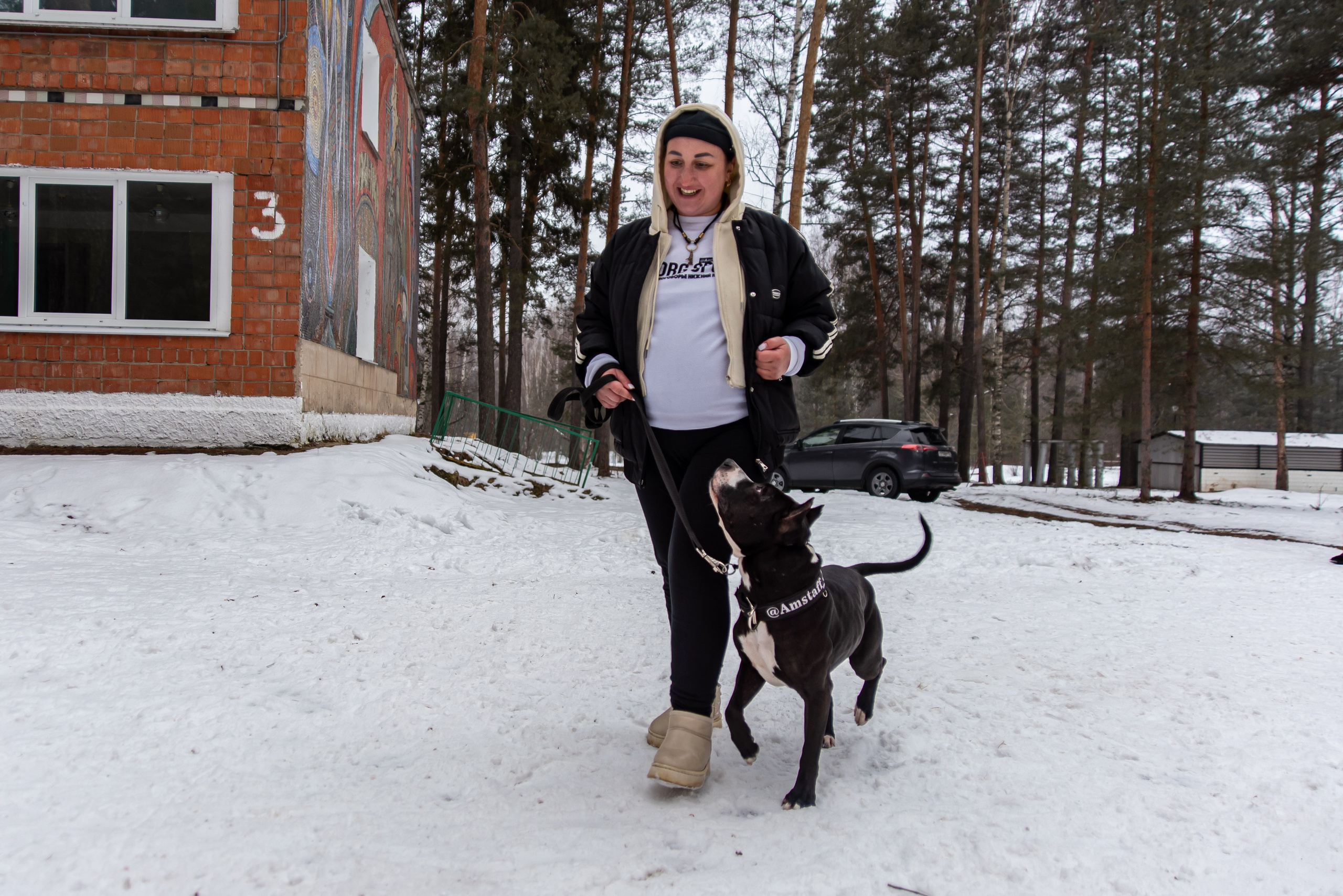 Фотосъёмка с собаками в Кинологическом лагере. Фотограф Макс Огурцов в Нижнем Новгороде