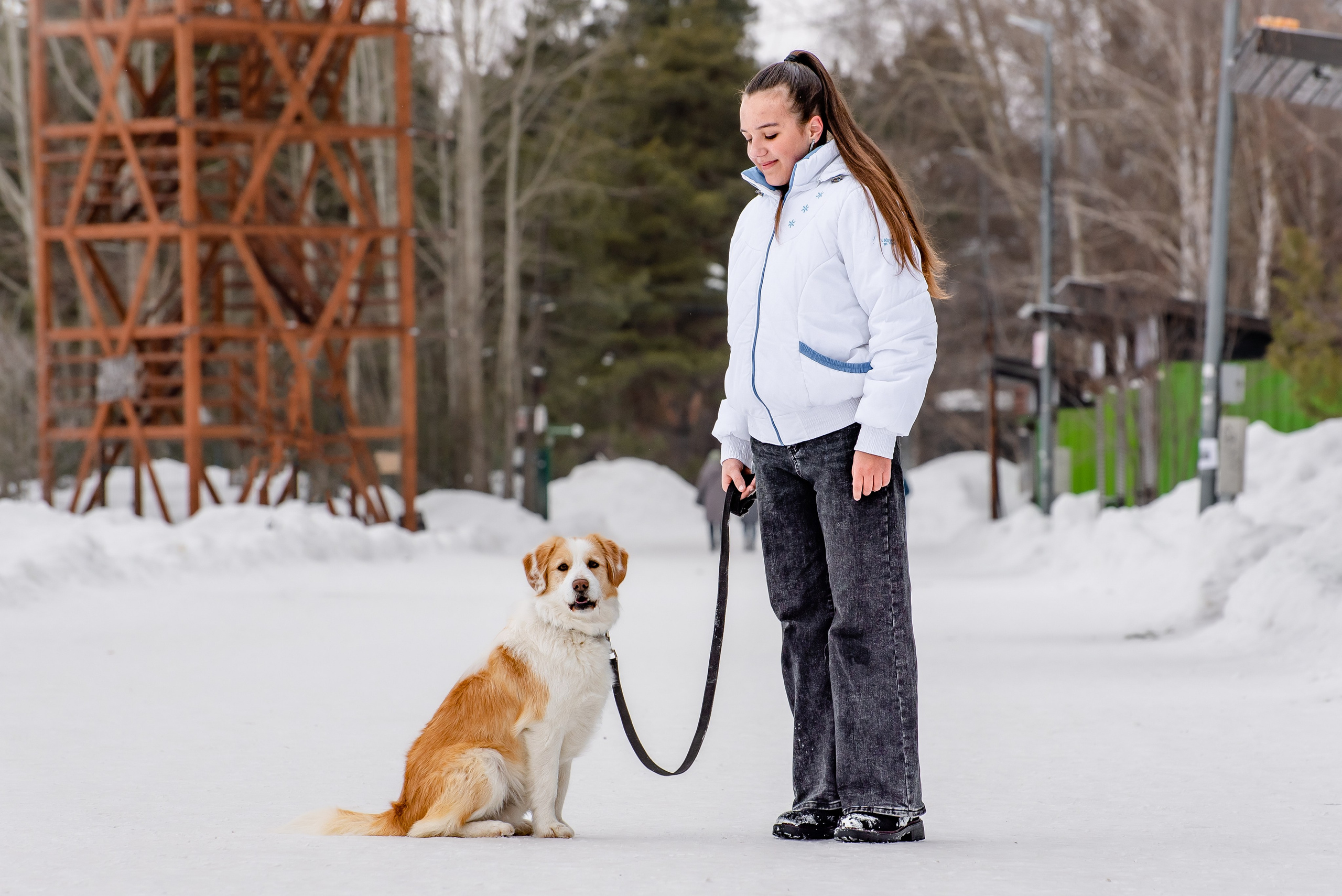 Прогулочная фотосессия с собакой. Фотограф Макс Огурцов в Нижнем Новгороде