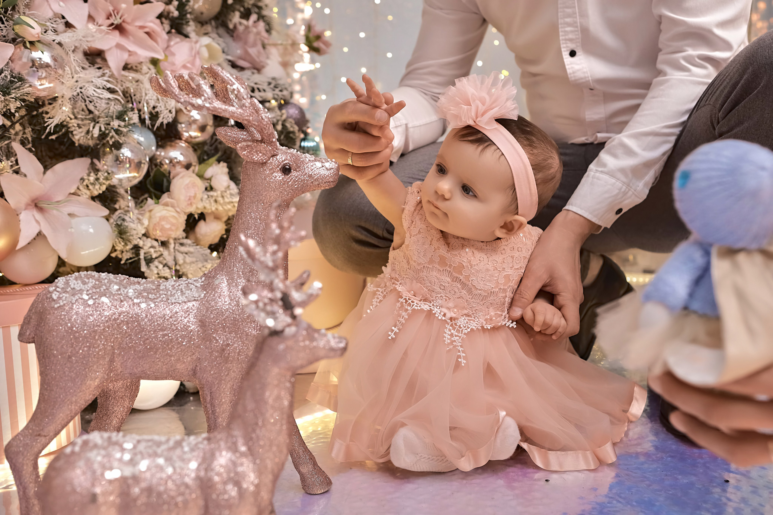 Семейная новогодняя фотосессия. Семейный и свадебный фотограф в Краснодаре Михеева Светлана