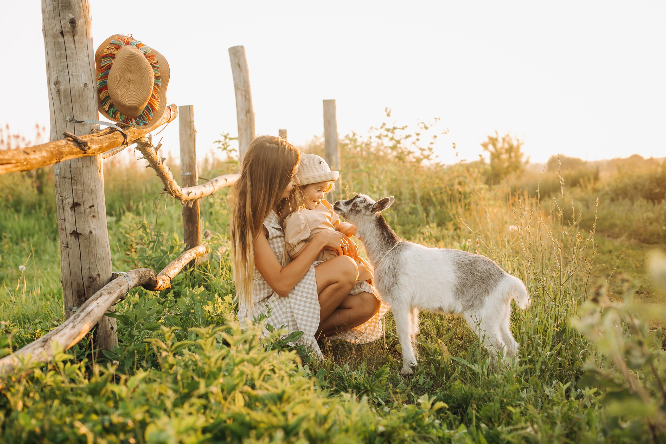 Семейный и свадебный фотограф Viva Photo