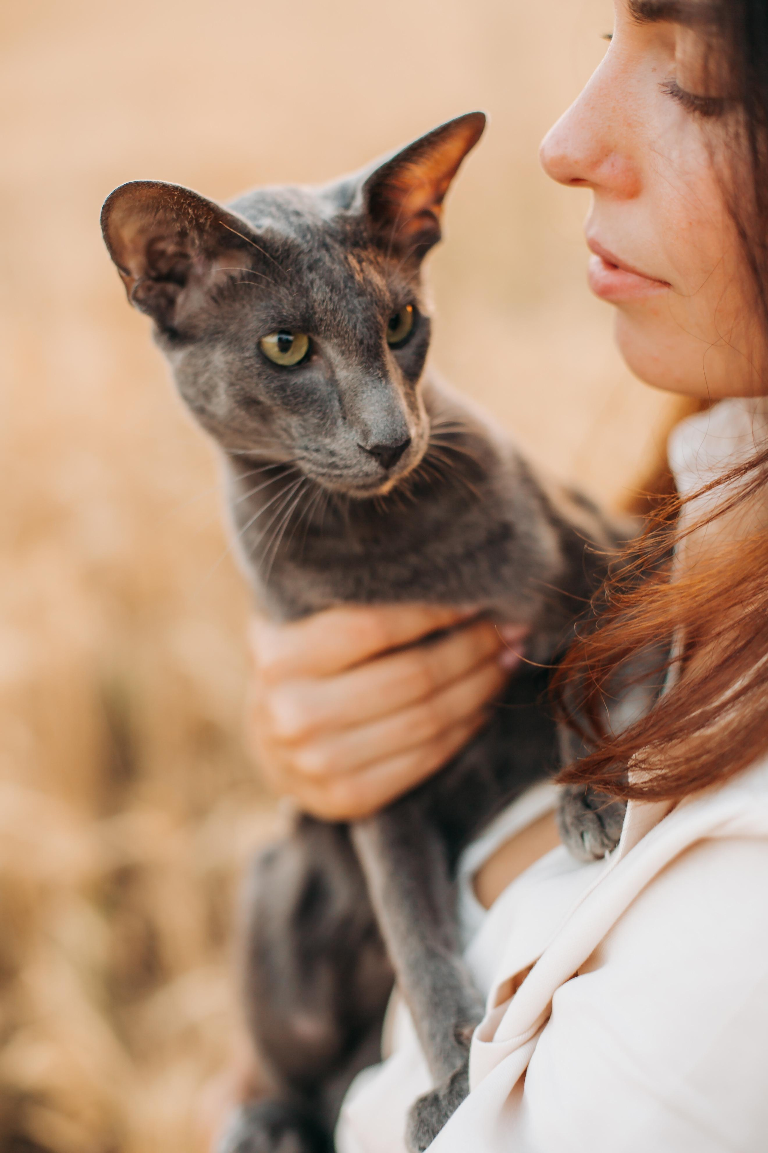 Семейные фотографии. Семейный и свадебный фотограф Viva Photo