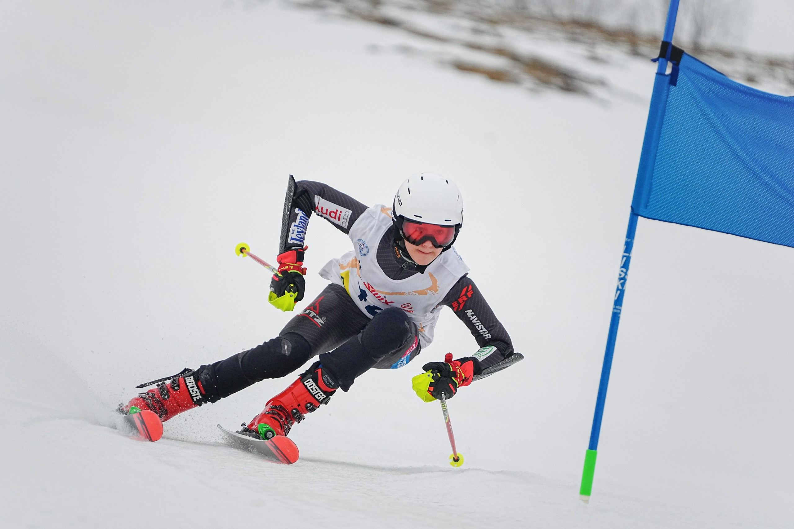 Горные лыжи. Первенство Московской области. Слалом-гигант. Шуколово