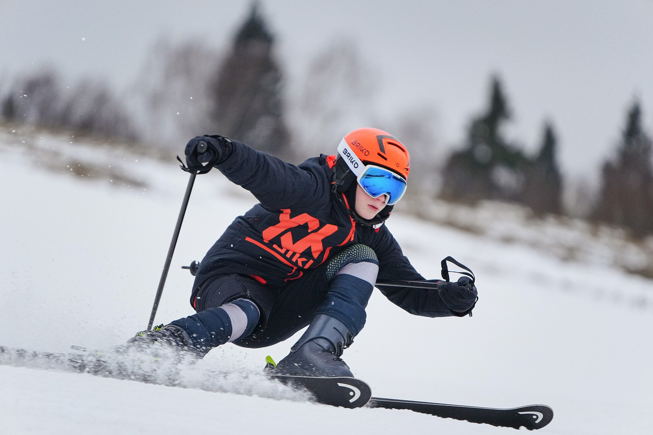 Горные лыжи. Первенство Московской области. Слалом-гигант. Шуколово