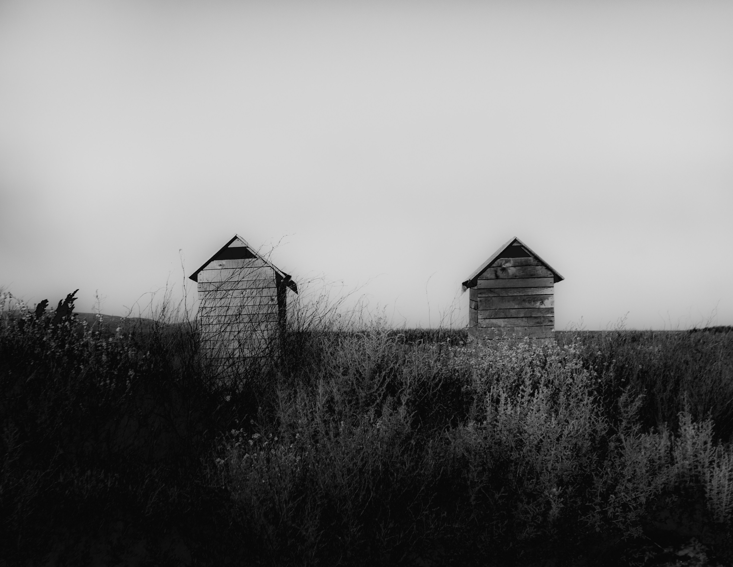 Triptych. RUSLAN ROZANOV