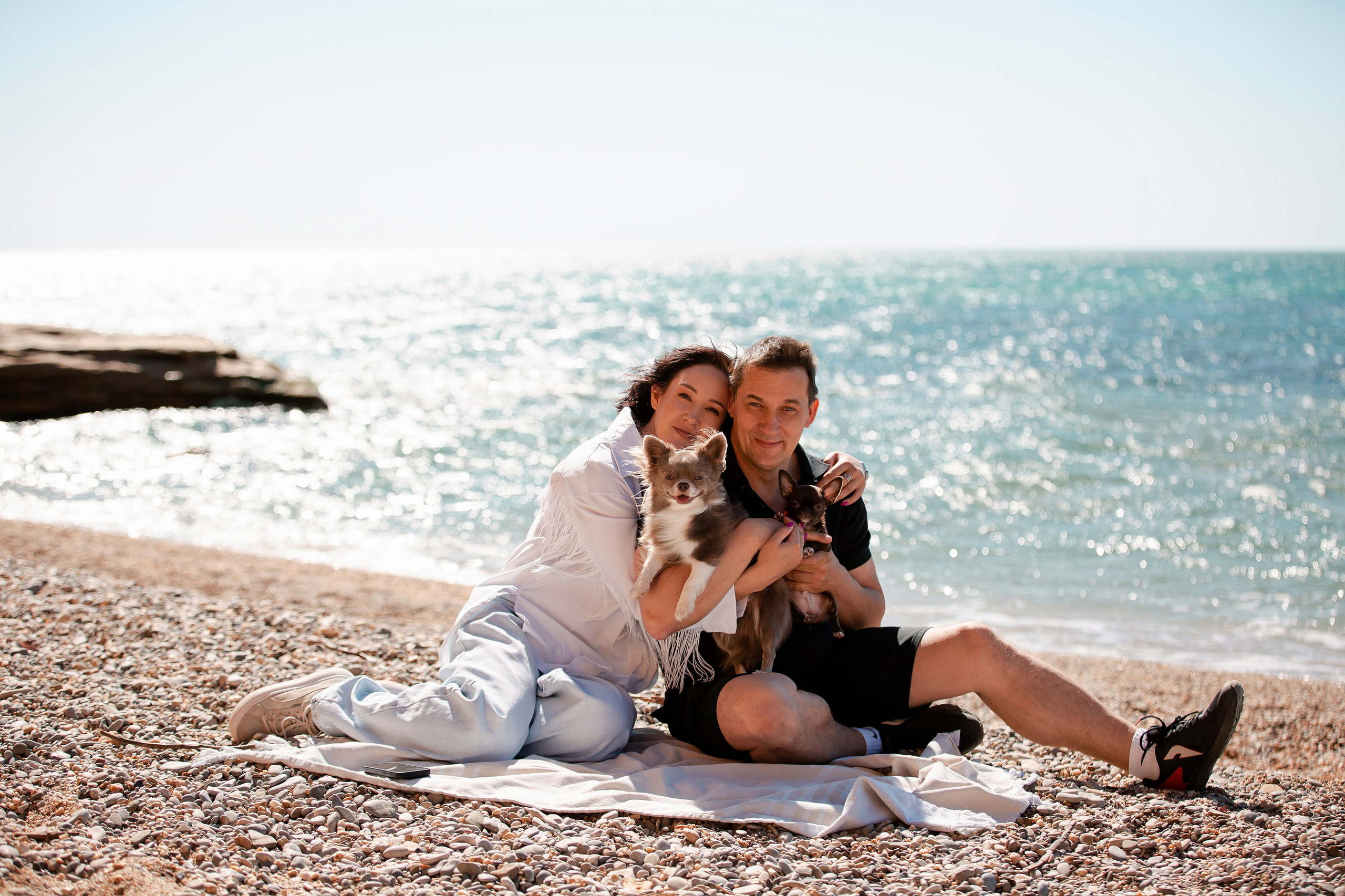 Веймаранер и чихуахуа в Крыму. Фотограф-анималист в Краснодаре Маша Мельникова