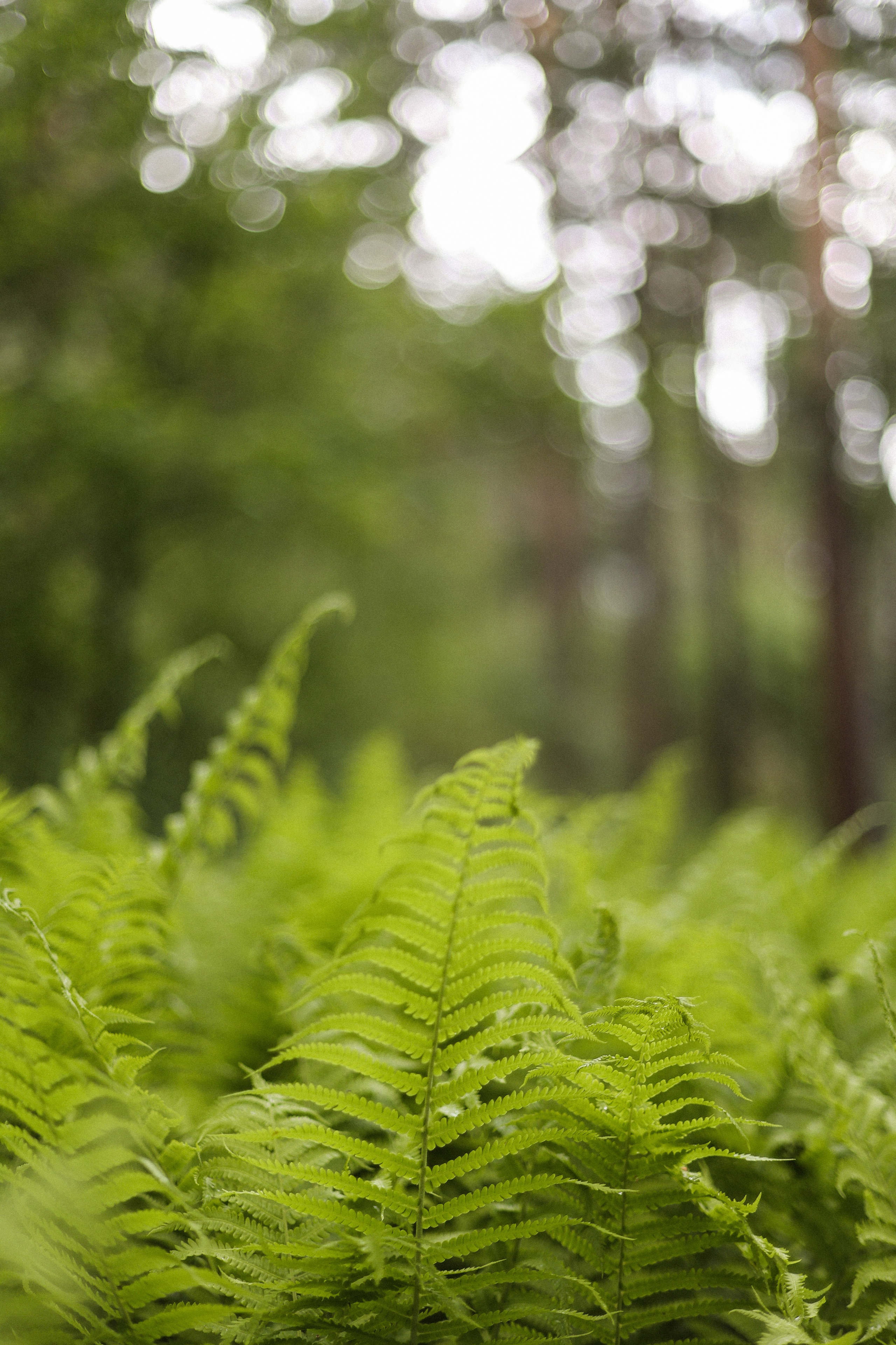 Gesh Tour Алтай. Фотограф в Краснодаре и на Алтае Мария Зорькина