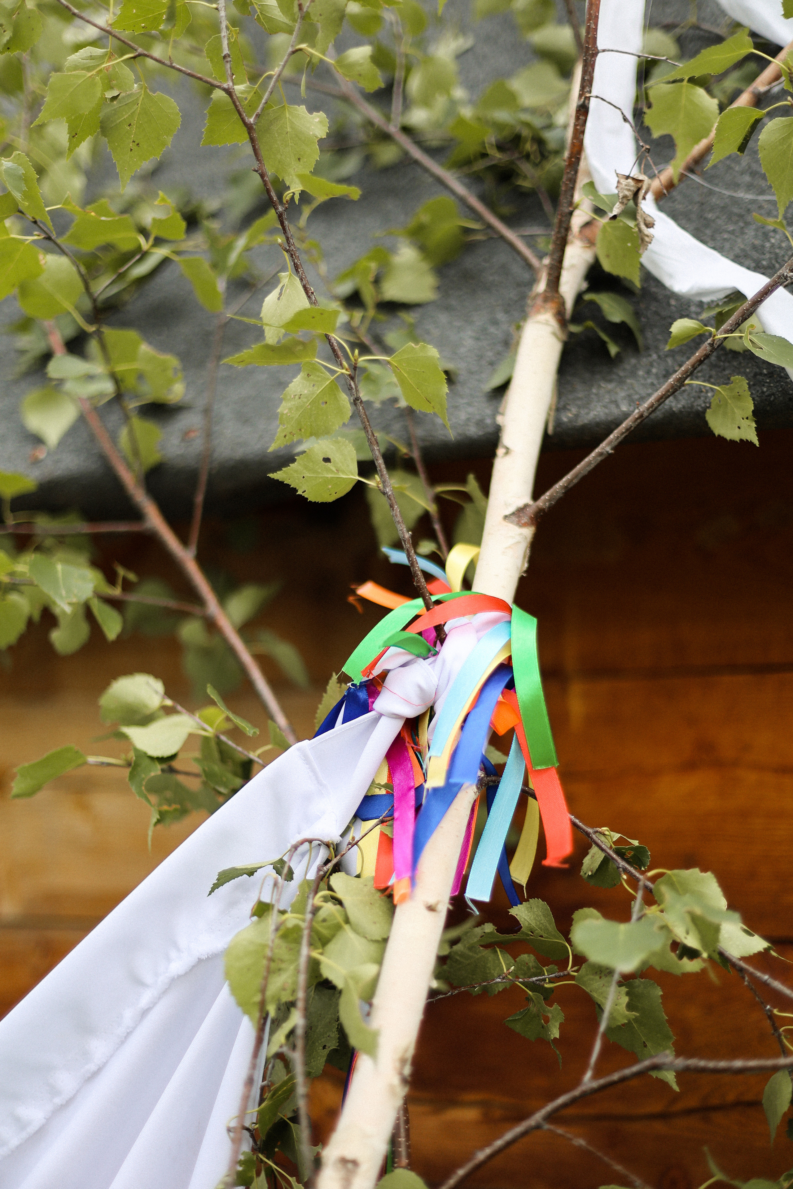 Айсулу и Арам. Алтай той. Алтайская свадьба. Фотограф в Краснодаре и на Алтае Мария Зорькина