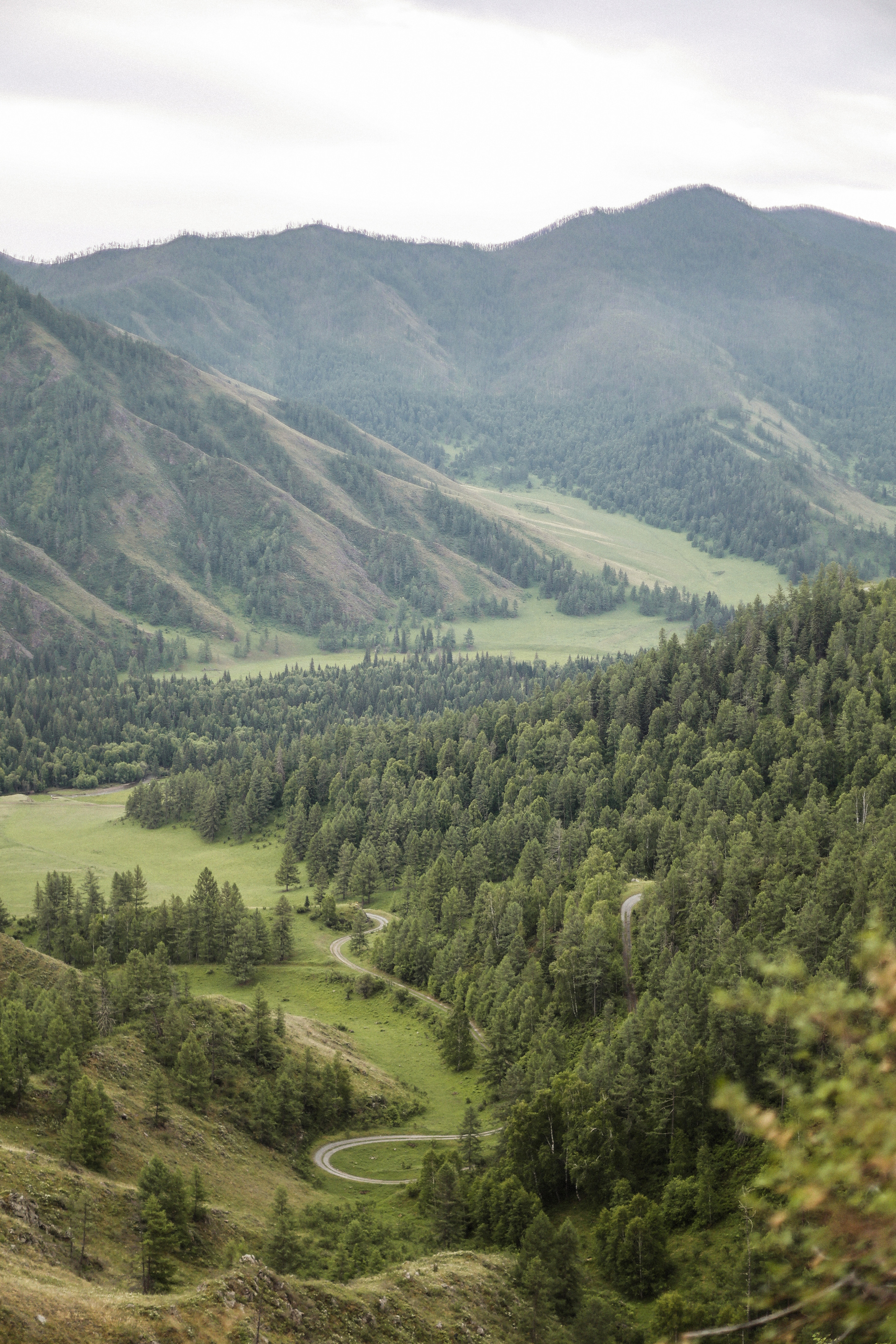 Gesh Tour Алтай. Фотограф в Краснодаре и на Алтае Мария Зорькина